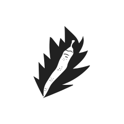 Chili pepper on a black leaf