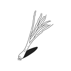 A simple line drawing of a leek with shadow.