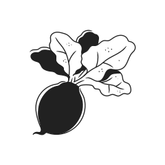 A stylized drawing of a radish with green leaves.