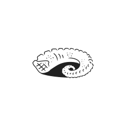 Eine stilisierte Zeichnung eines gekräuselten Oktopus-Tentakels