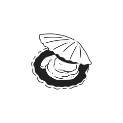 An open oyster with a pearl inside