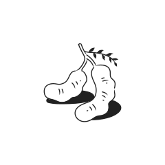 Two soybeans on a branch with leaves