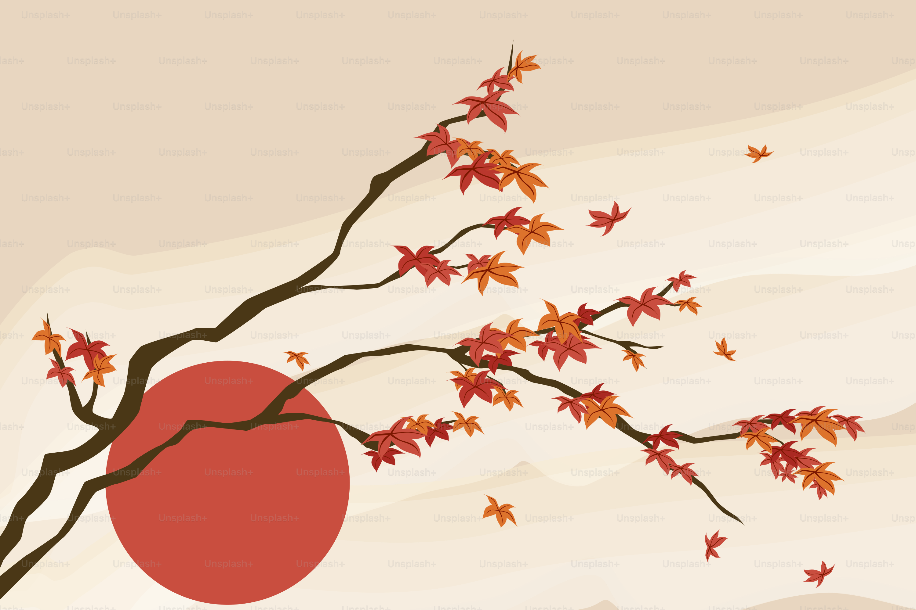 A japanese maple branch with falling leaves and sun.