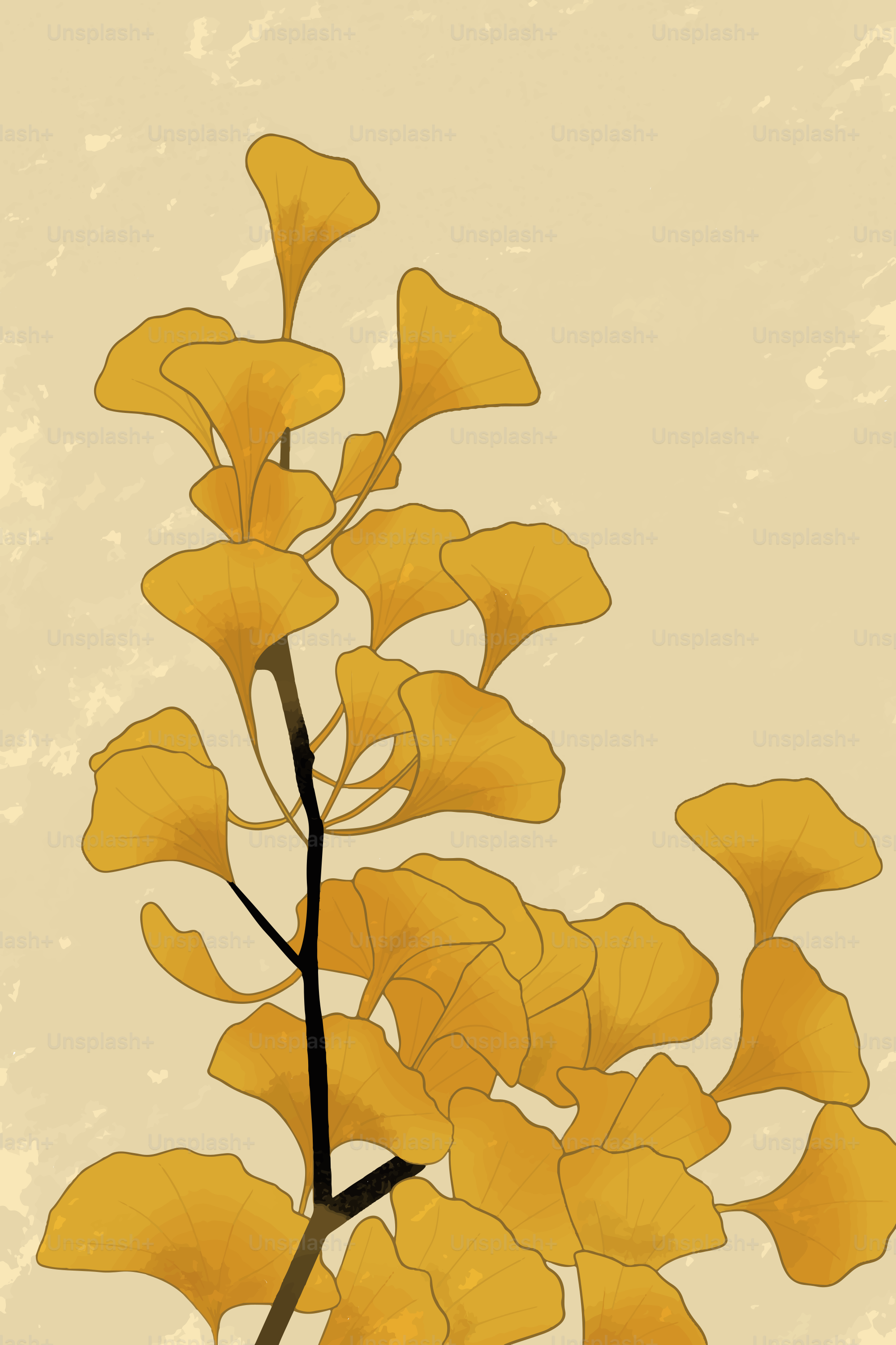 Yellow ginkgo leaves on a textured cream background.