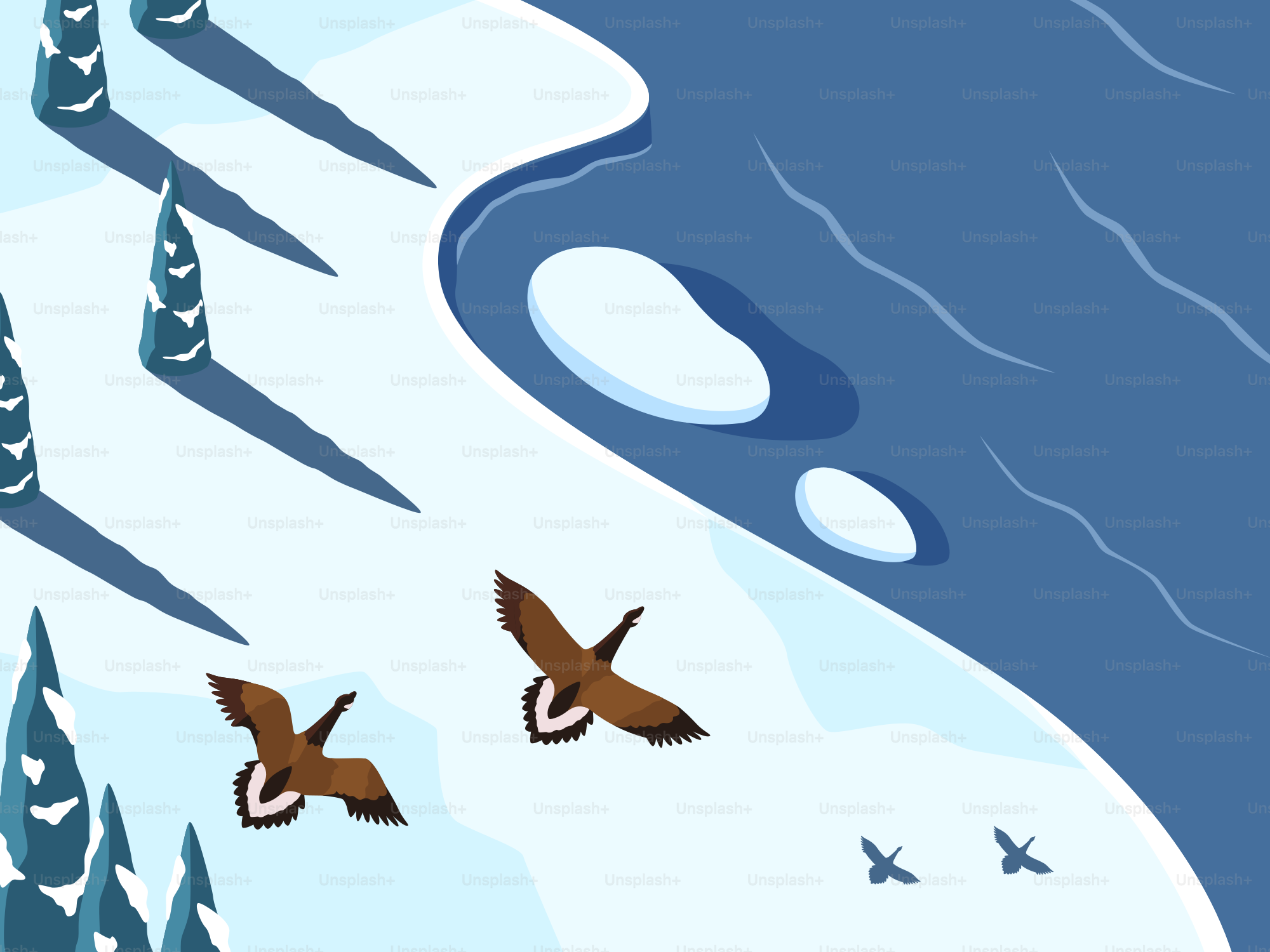 Two geese fly over a snowy landscape near water.