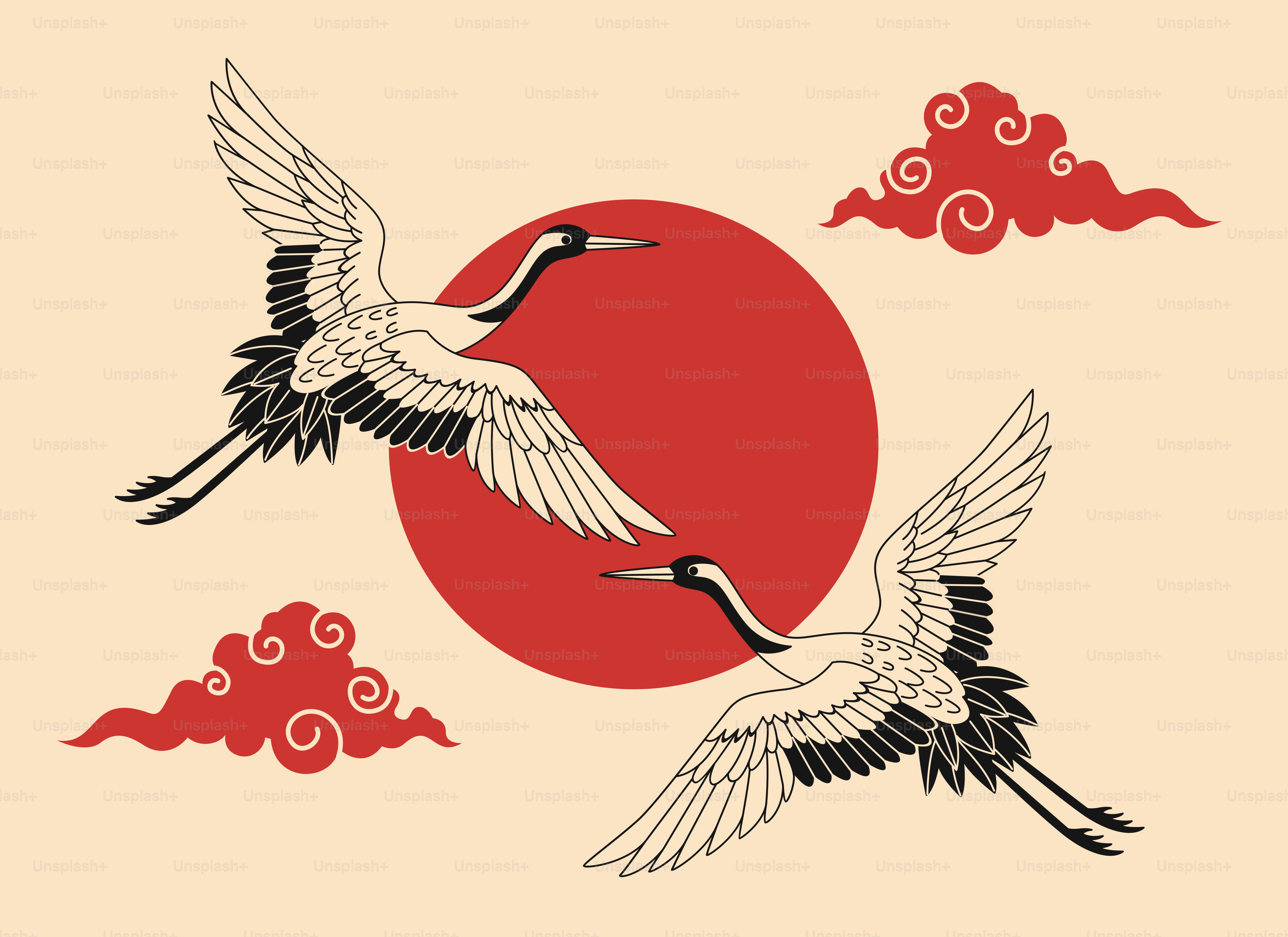 Two cranes fly near a red sun and clouds