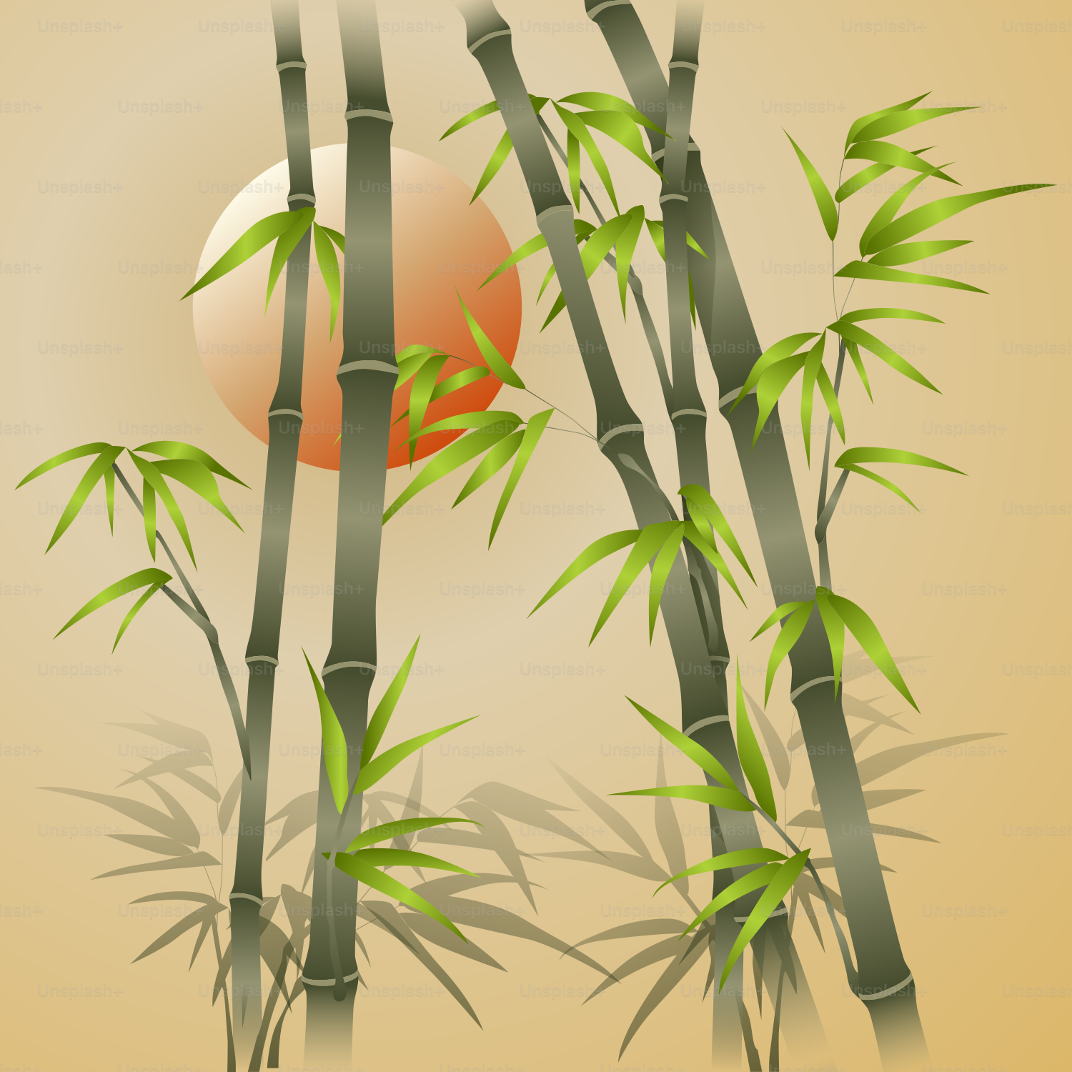 Bamboo stalks with a soft sun behind them