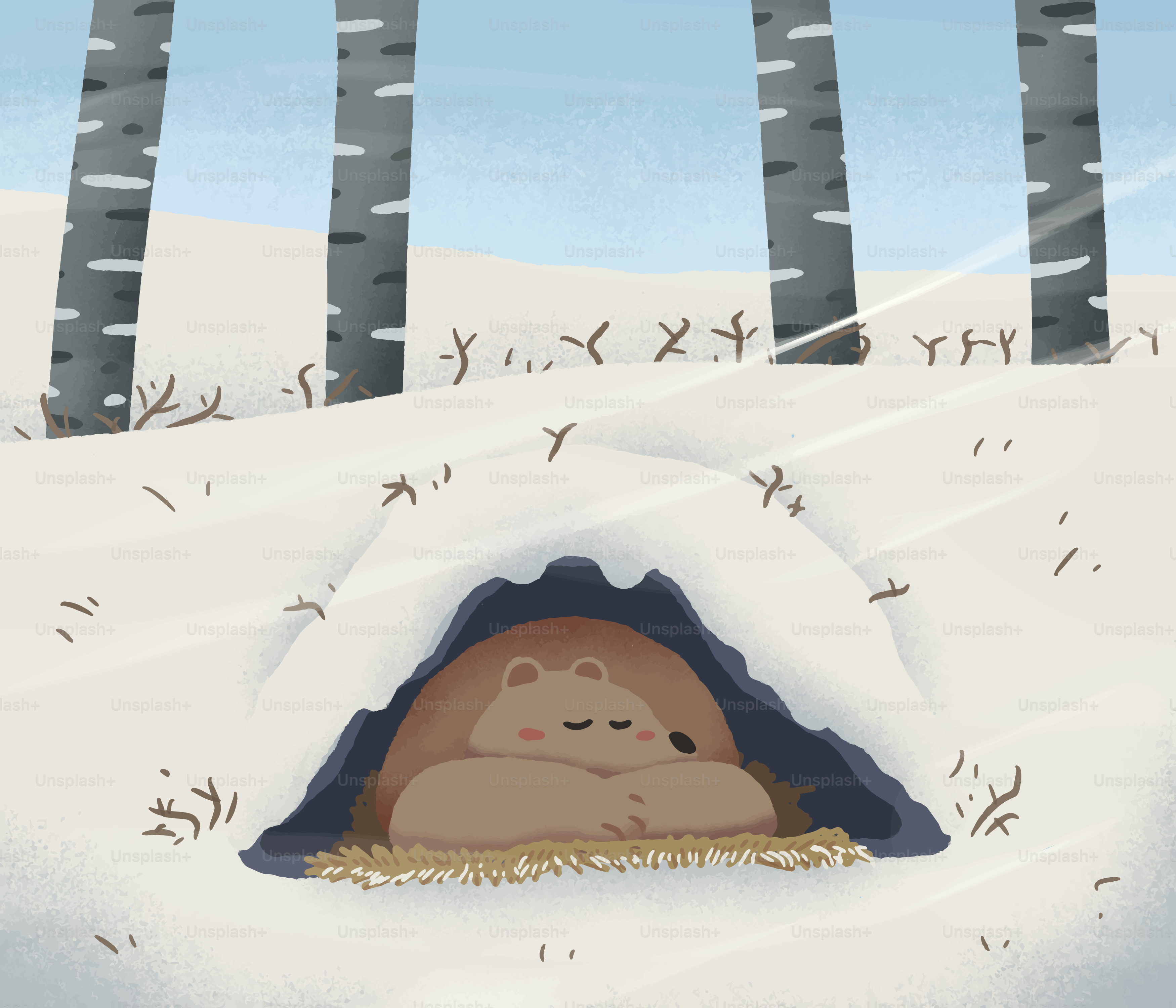 Two hedgehogs sleeping in a snowy burrow.