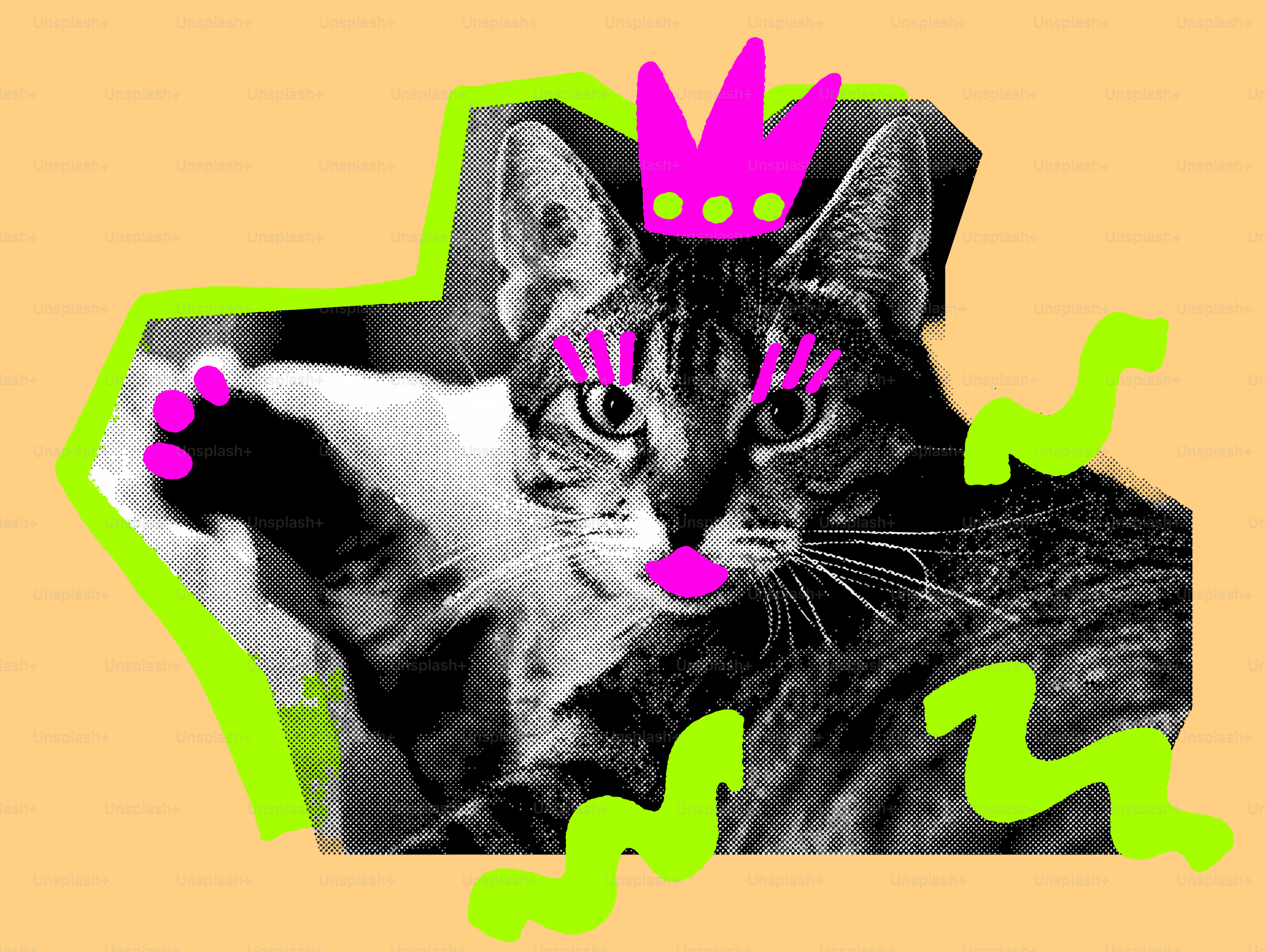 A cat with makeup and a crown