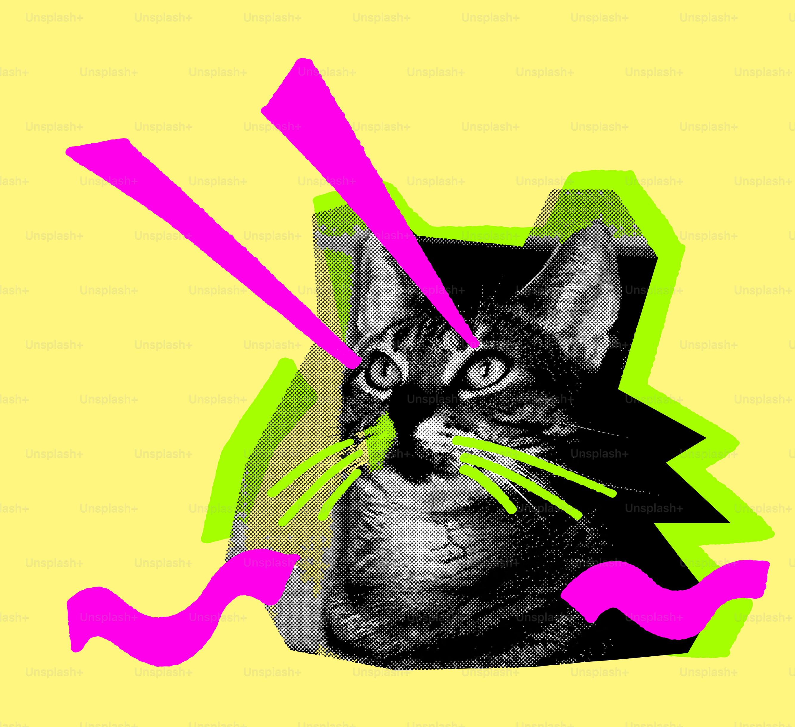 Un gatto con raggi laser rosa dagli occhi