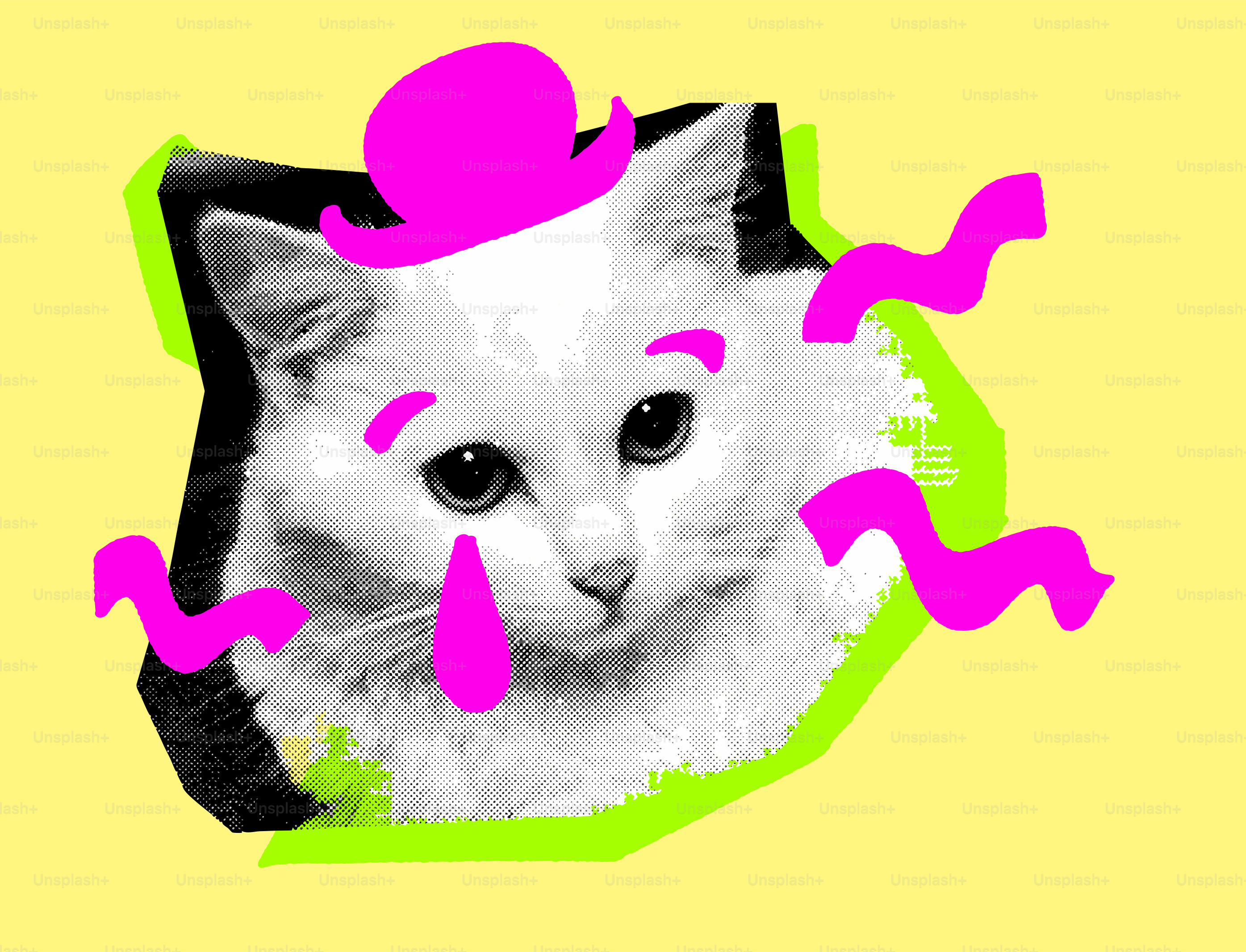 분홍 모자와 물결 모양의 선을 가진 흰 고양이.