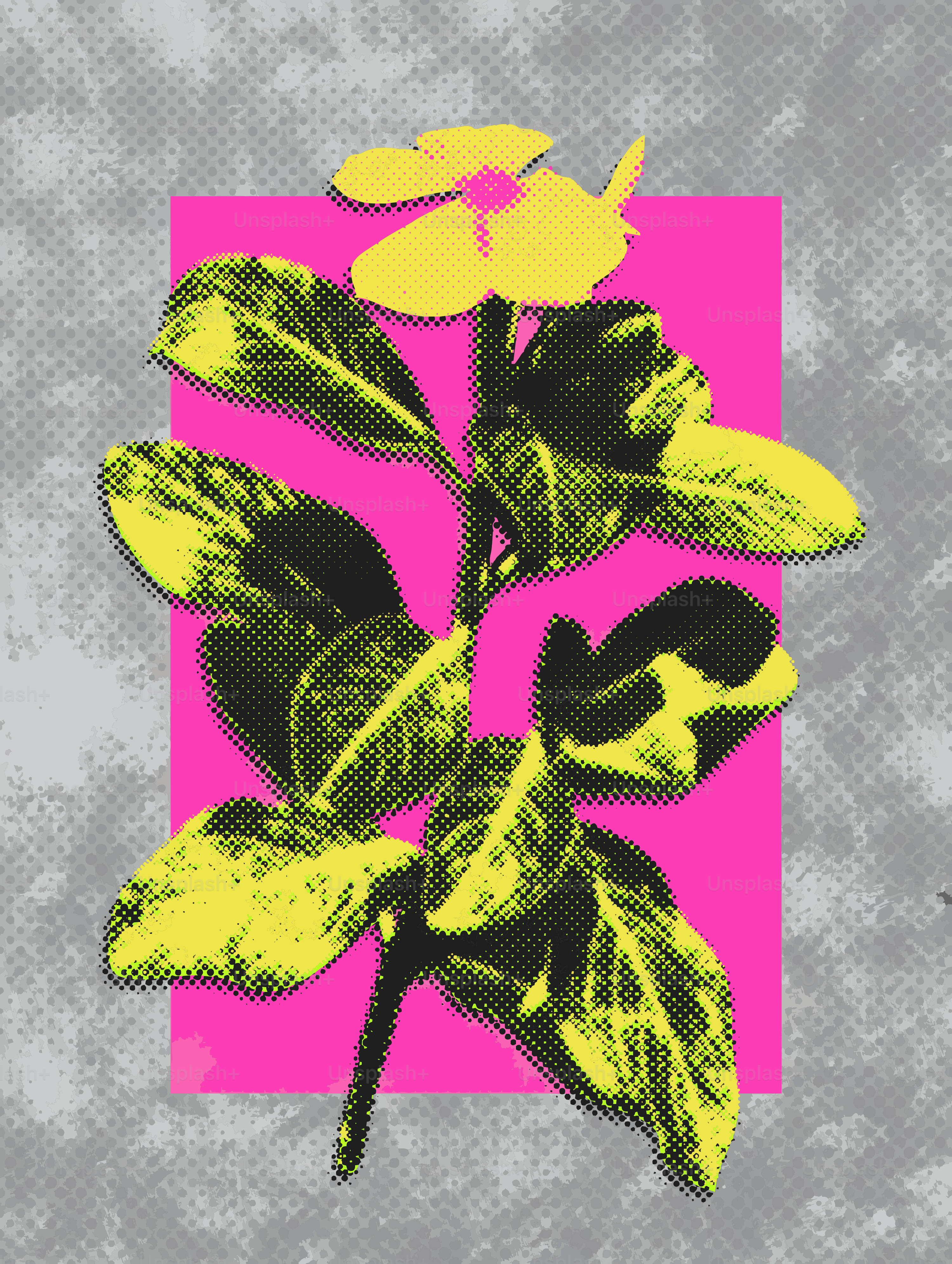 Flor amarela e folhas sobre fundo rosa