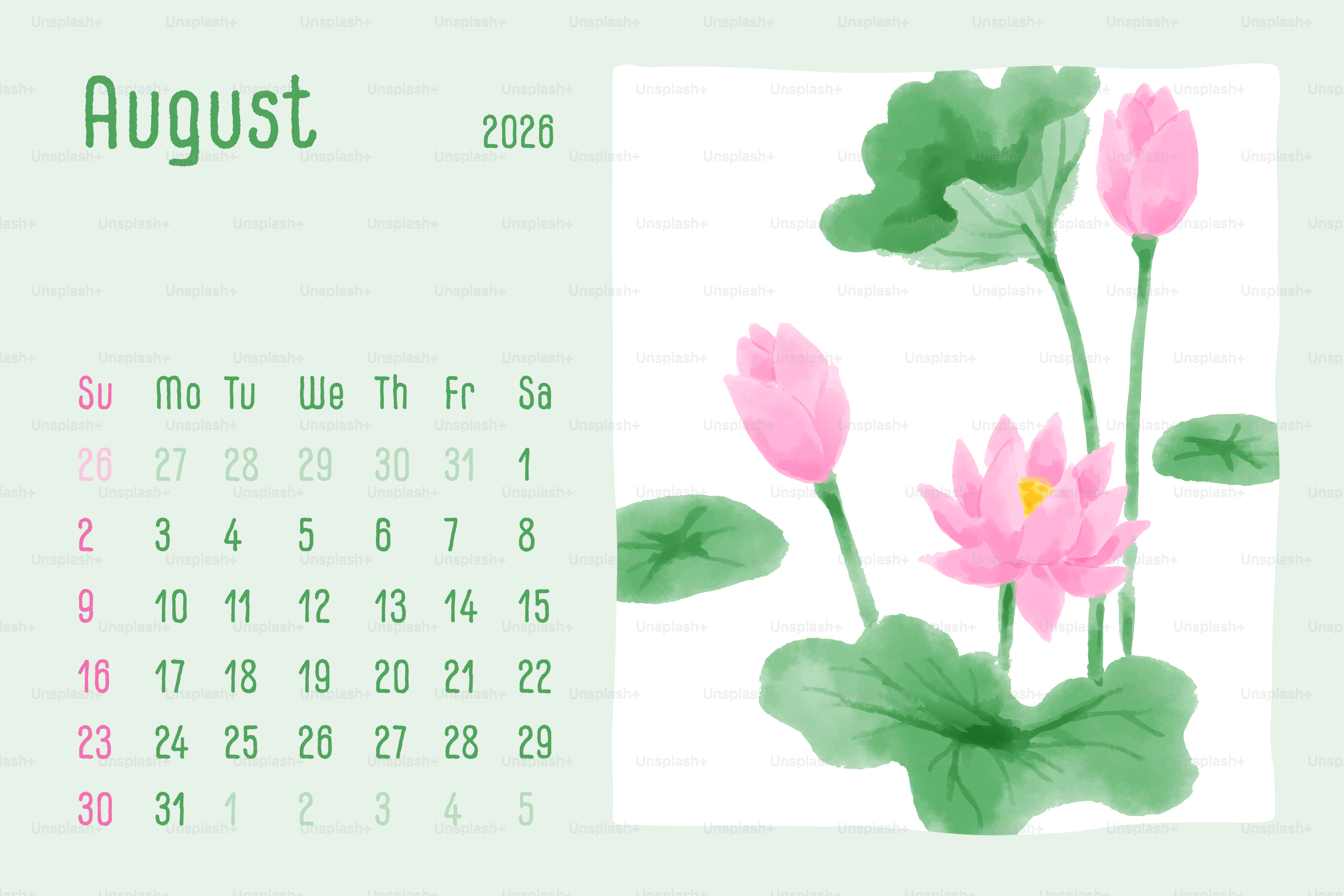 August 2020 Kalender mit rosa Lotusblumen.