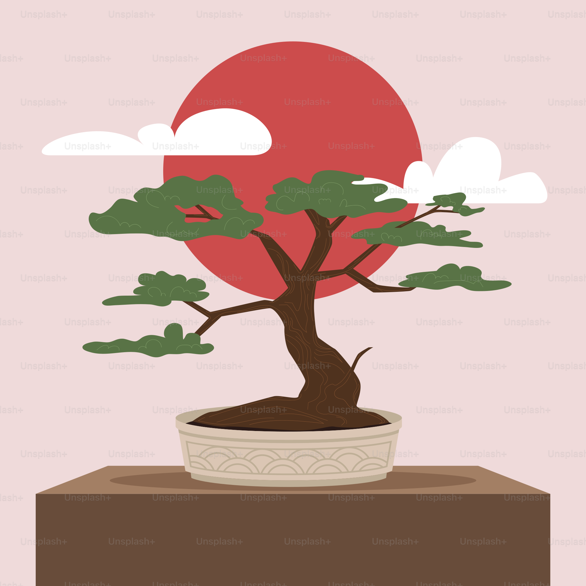 Bonsai tree with red sun and clouds
