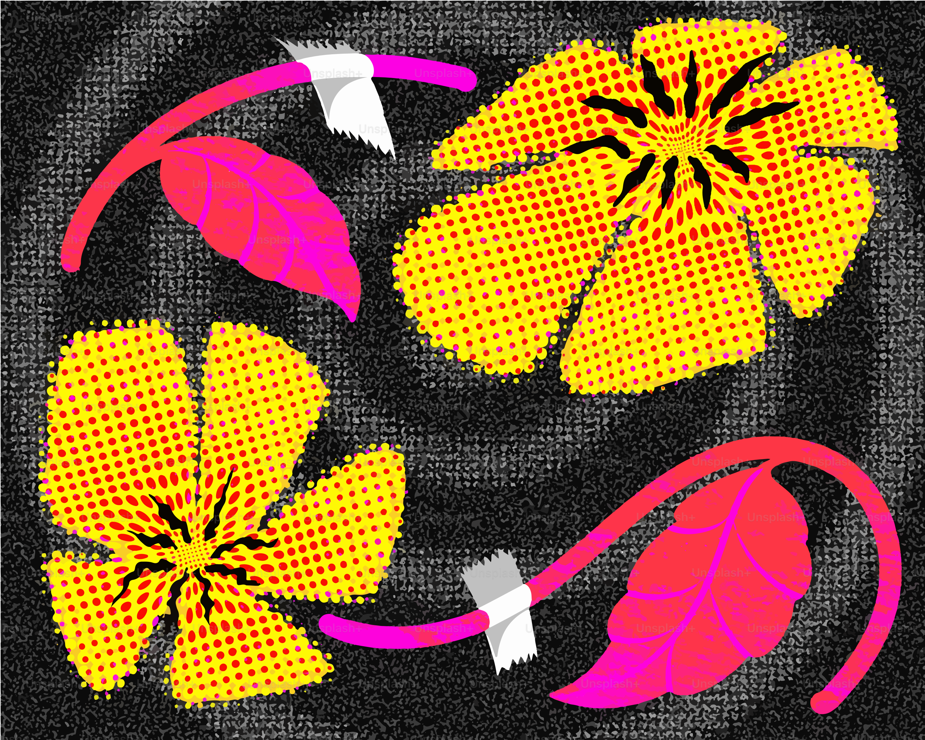 Two yellow flowers with pink leaves on dark background