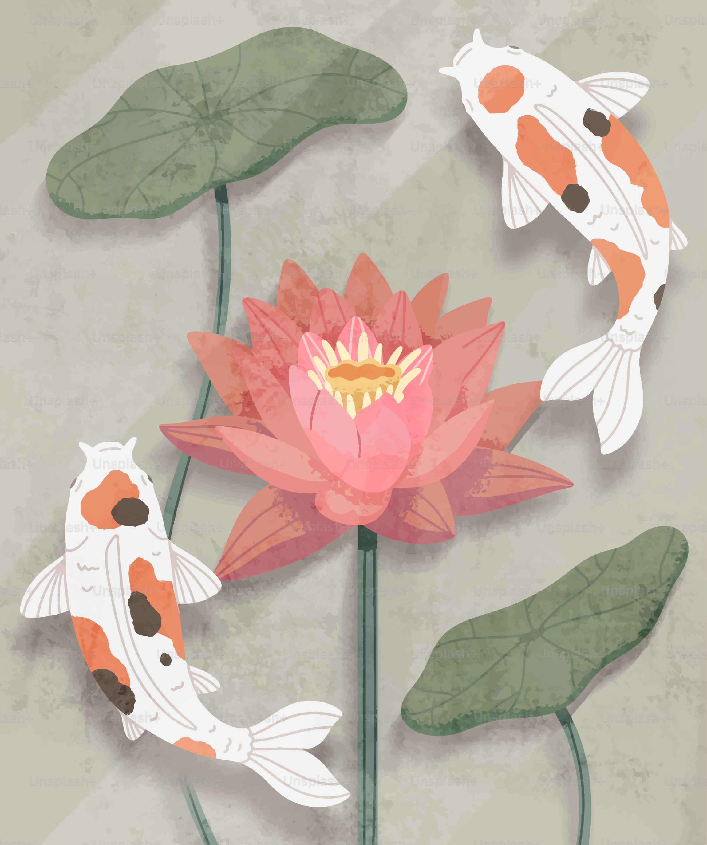 Due pesci koi nuotano vicino a un fiore di loto in fiore.