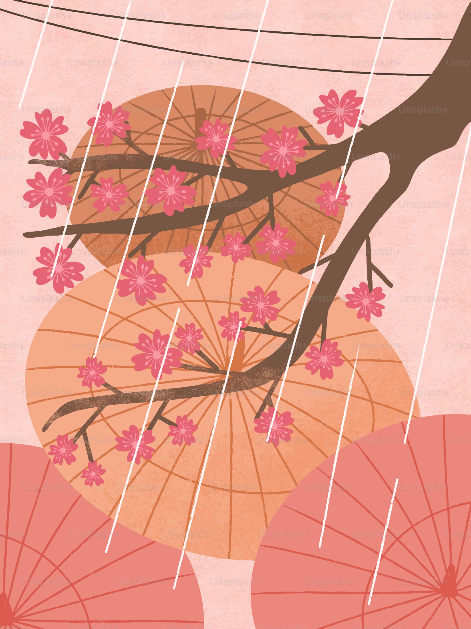 Pink cherry blossoms on a branch with umbrellas in rain.