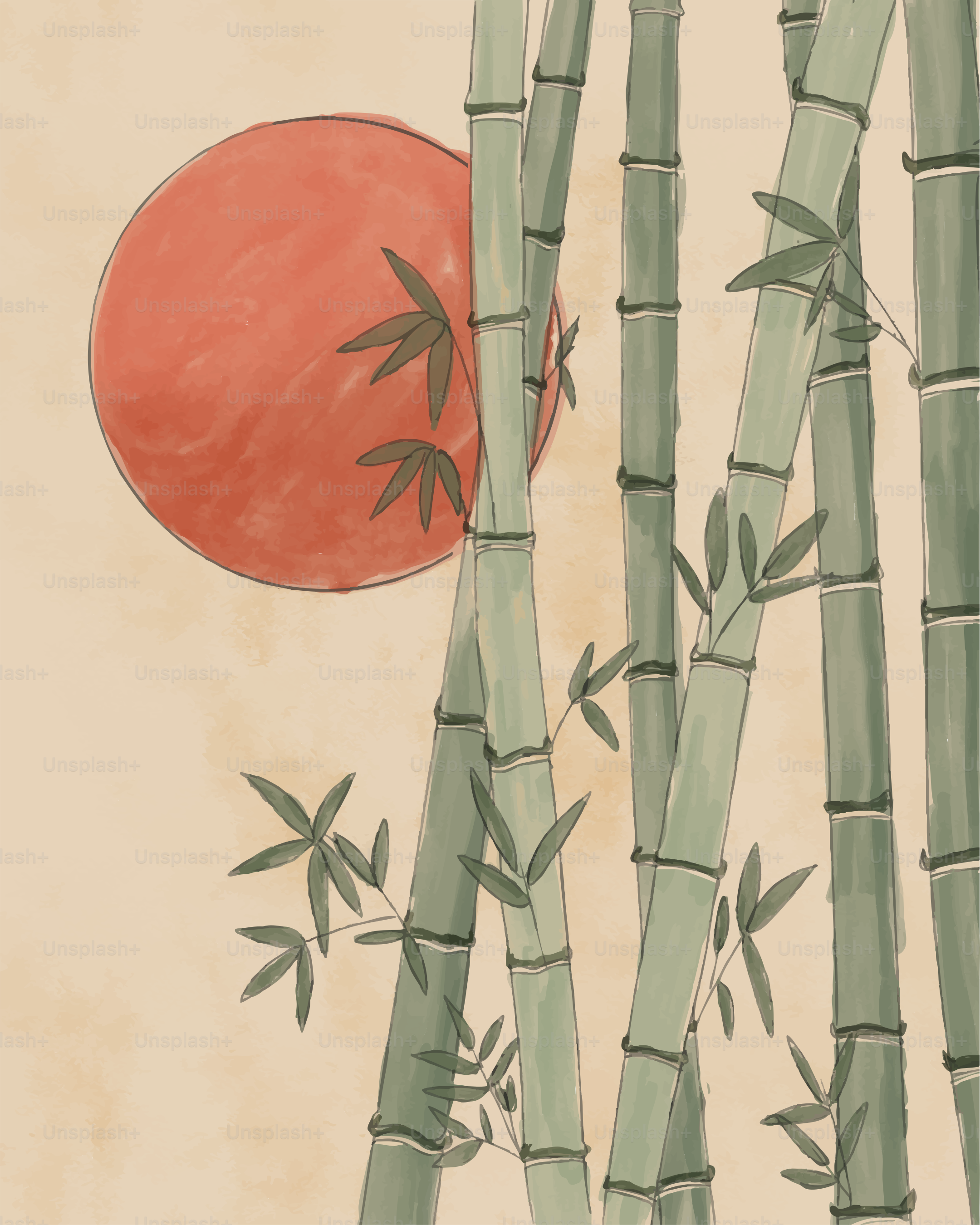 Bamboo stalks with a red sun behind them