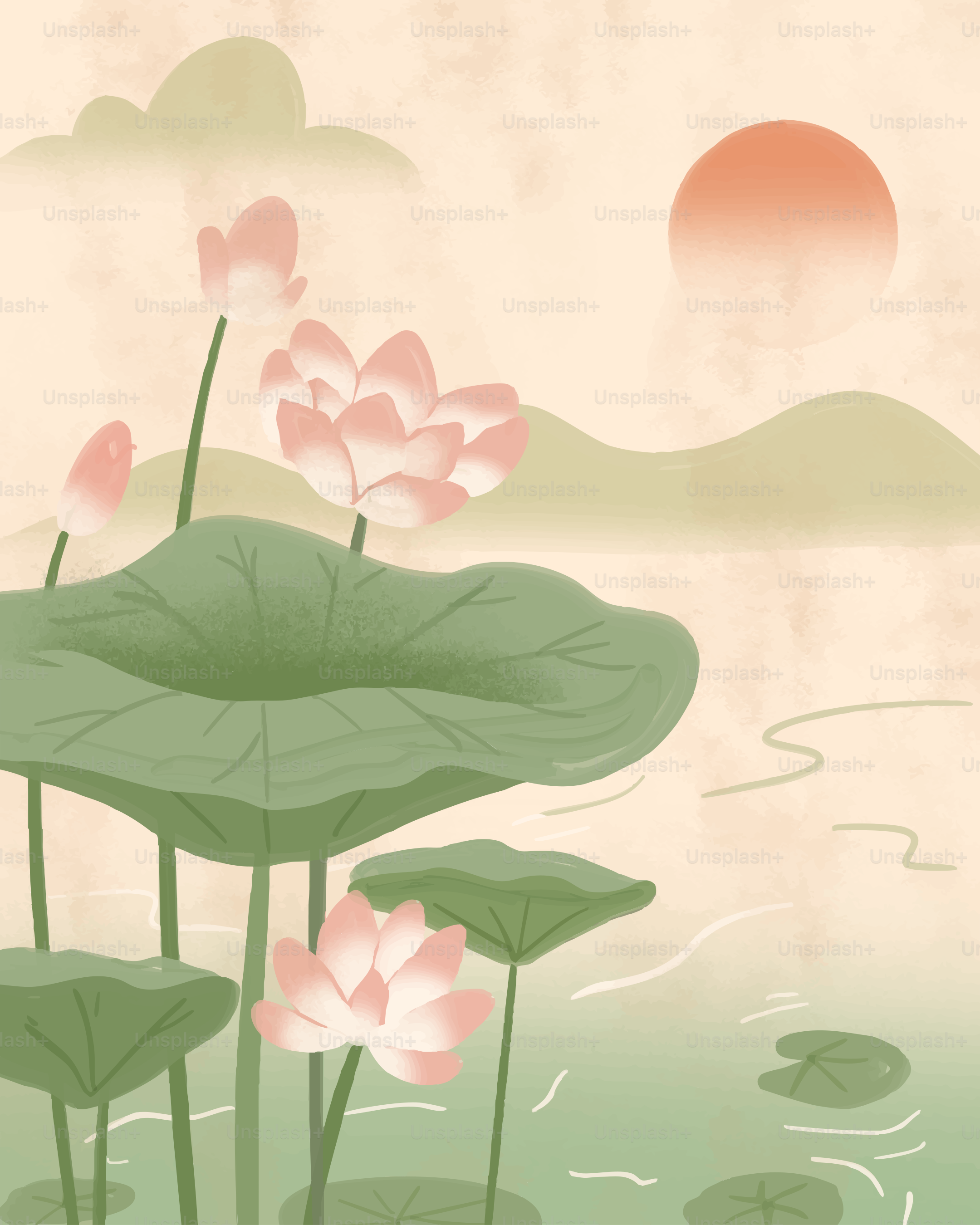 Pink lotus flowers bloom by a tranquil lake at sunset.