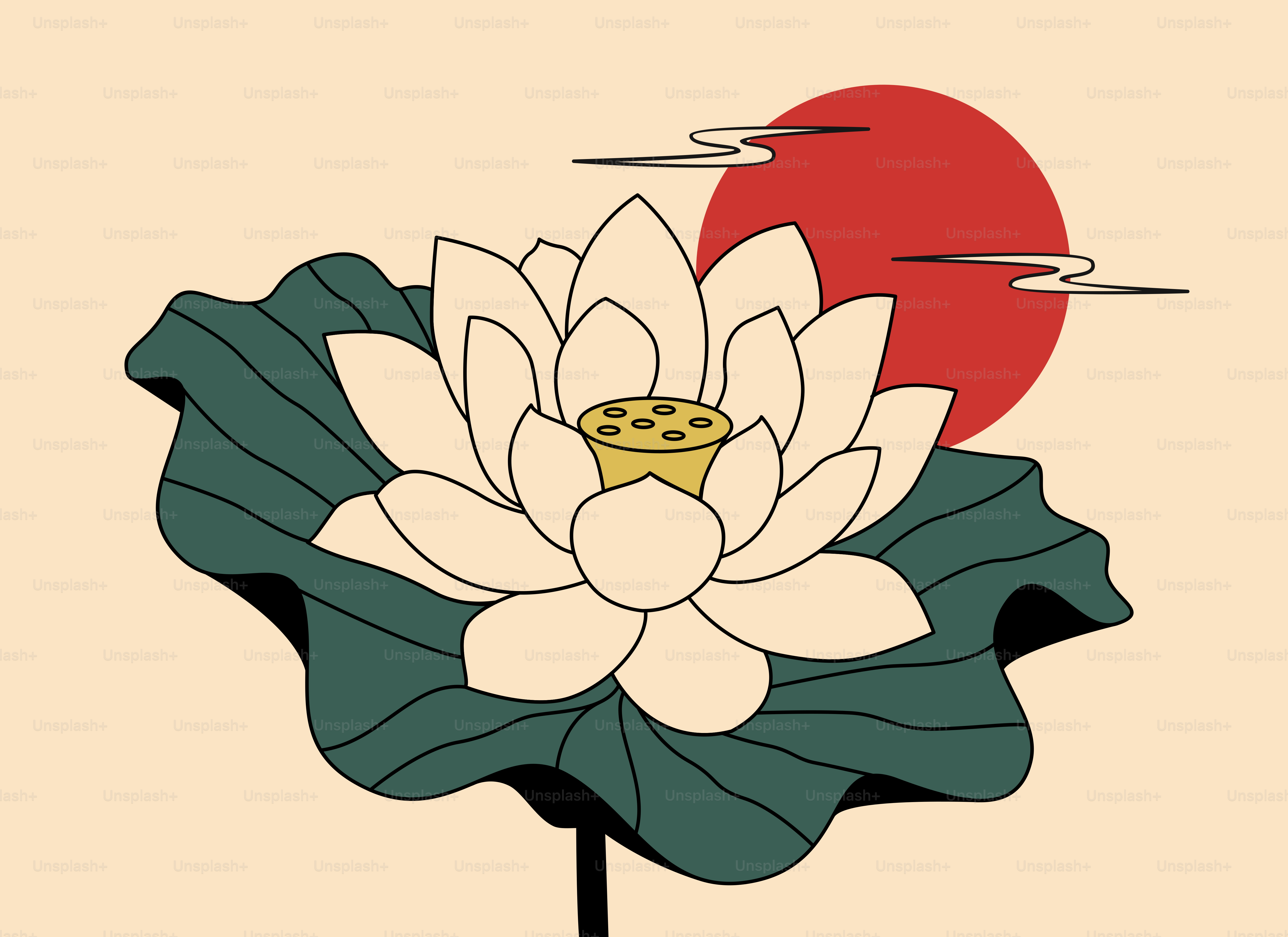 A white lotus flower with a red sun behind it.