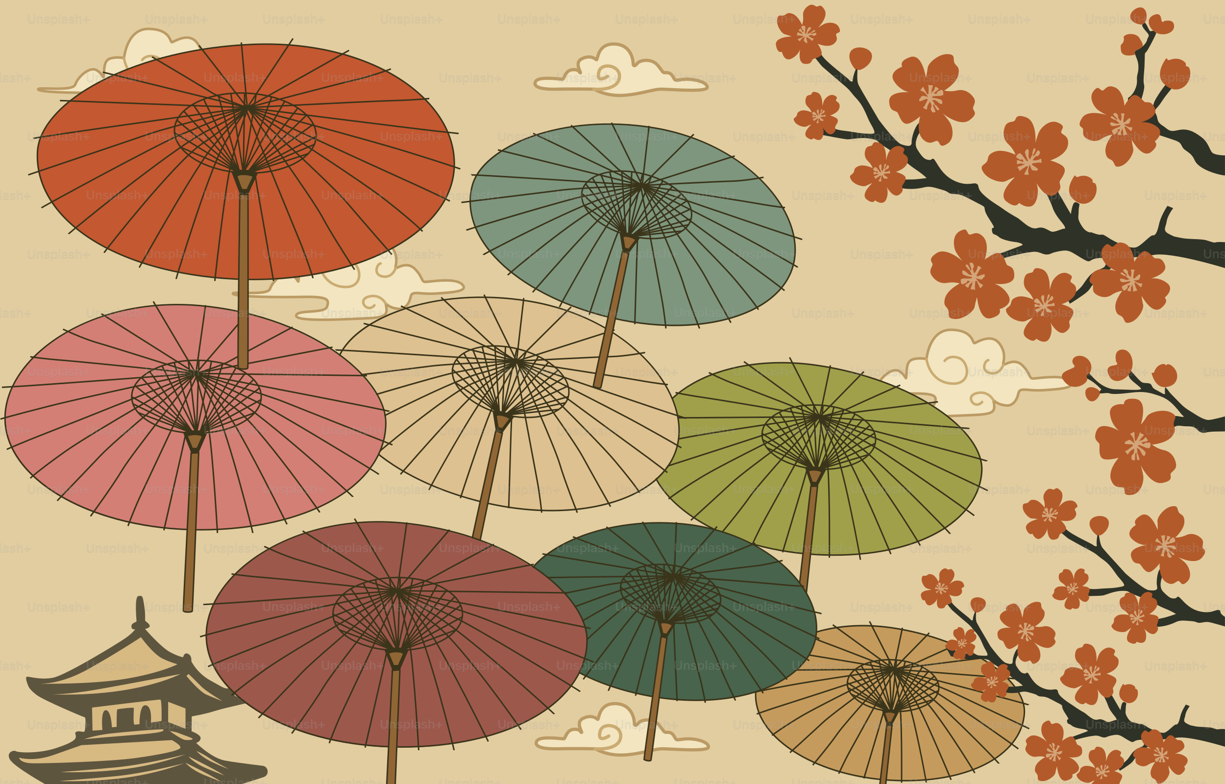 Traditional japanese umbrellas and cherry blossoms