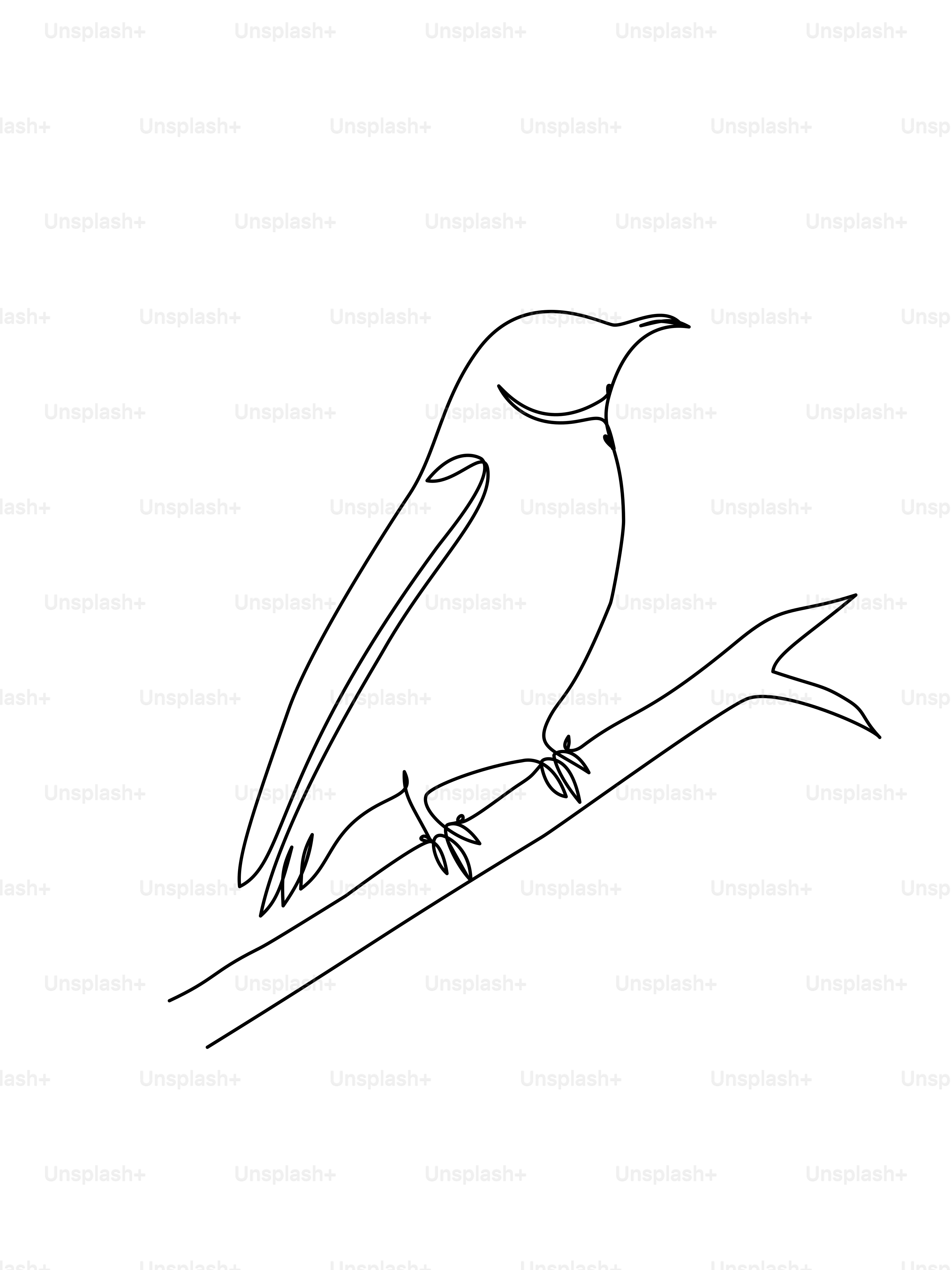 A bird perched on a branch, drawn in one line.