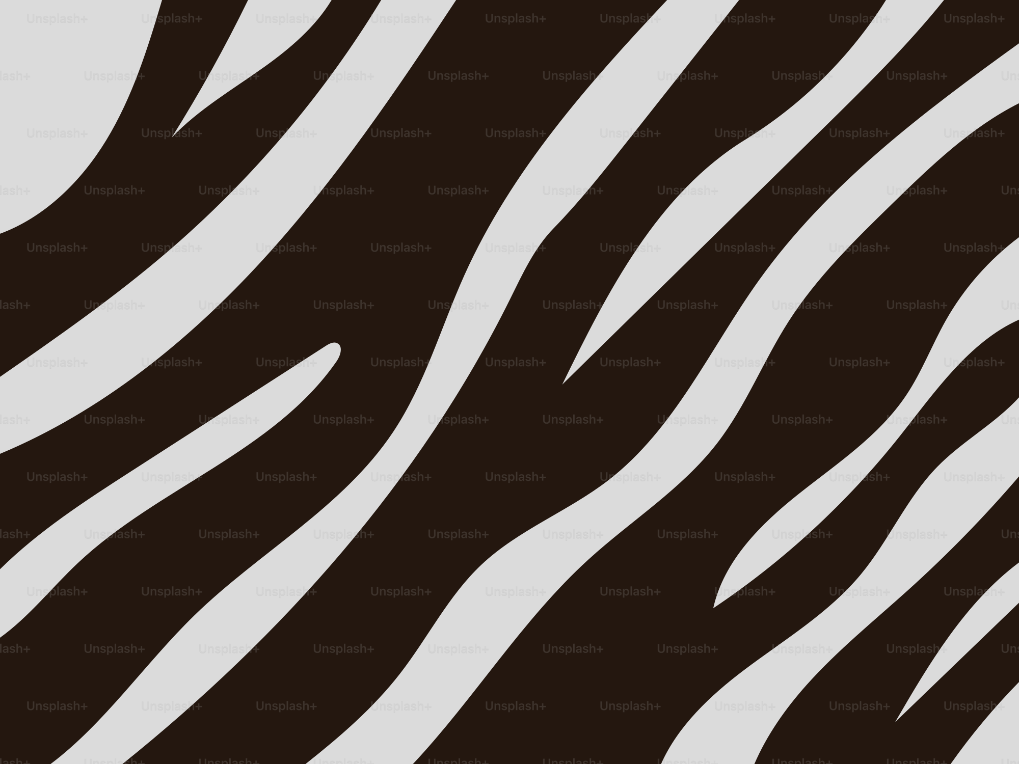 Abstract zebra stripe pattern in black and white