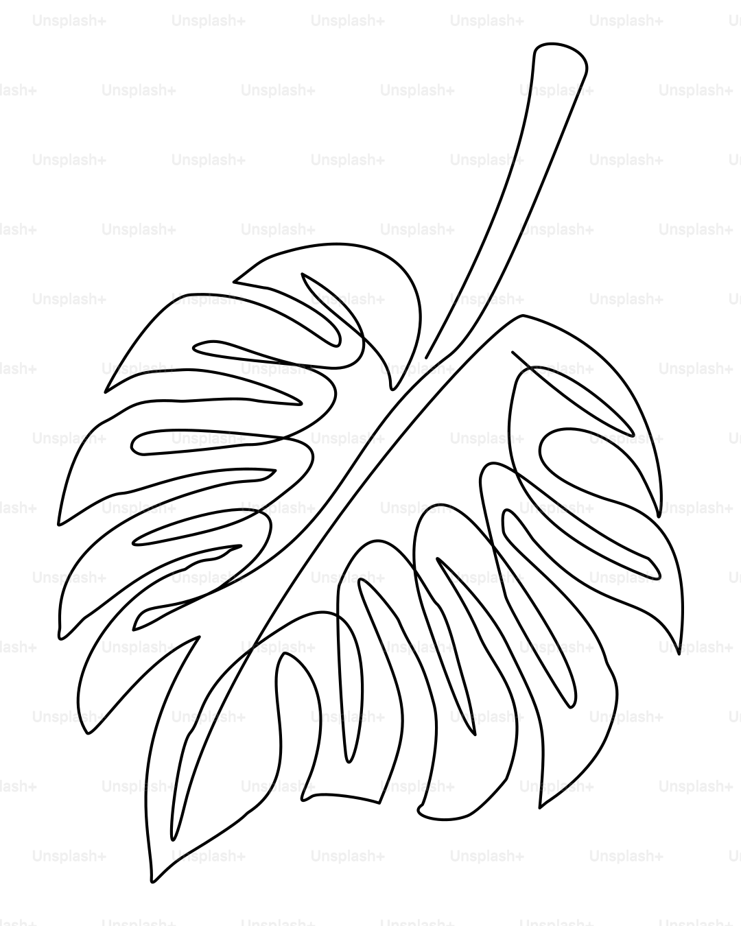 モンステラの葉のシンプルな線画です。