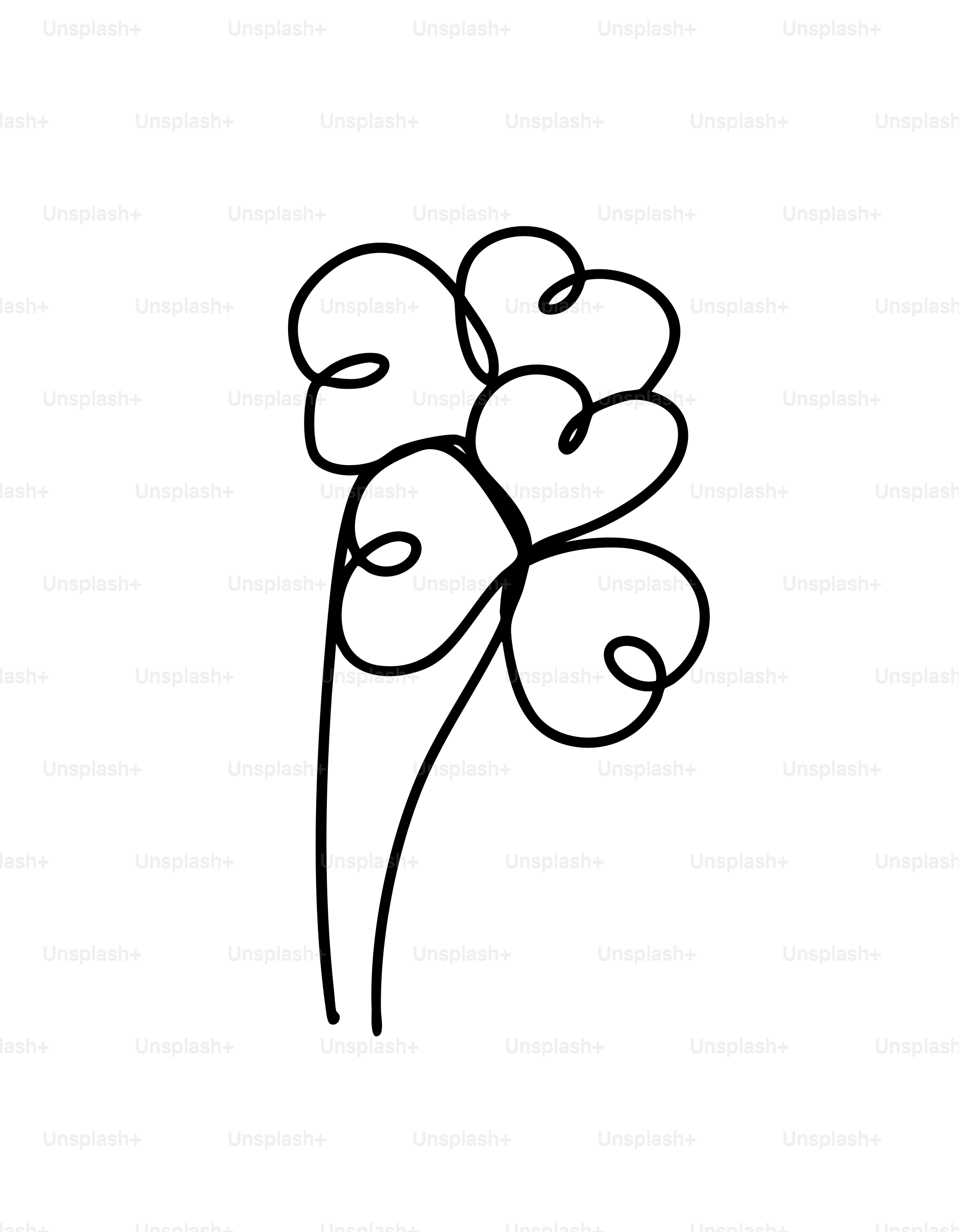 Abstract drawing of a flower with heart-shaped petals vector – Spring Image  on Unsplash, image size:3000x3852