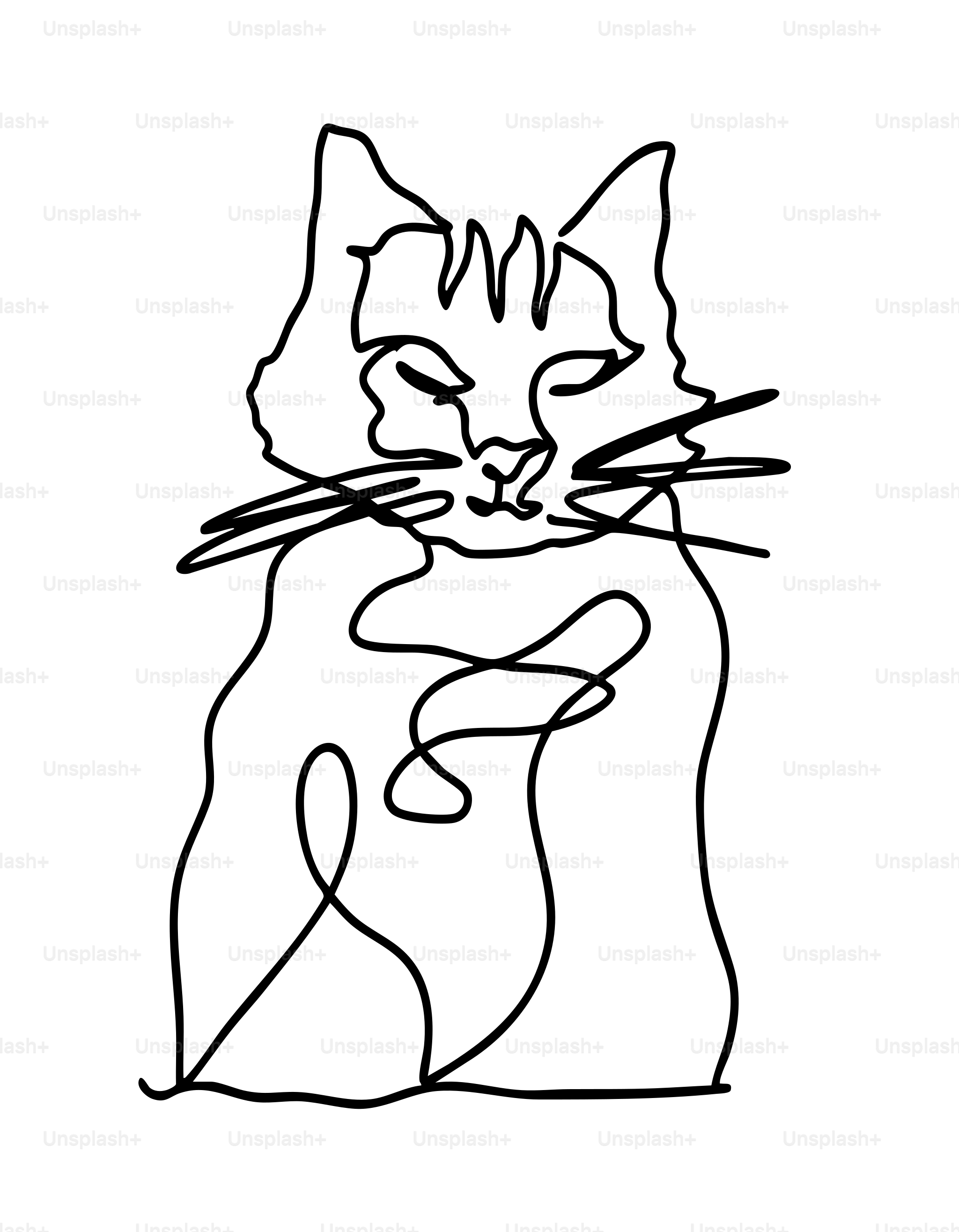 Eine süße schwarz-weiße Katze mit rotem Halsband. Vektor – Kostenloses Bild  zum Thema Katze auf Unsplash, image size:3000x3852