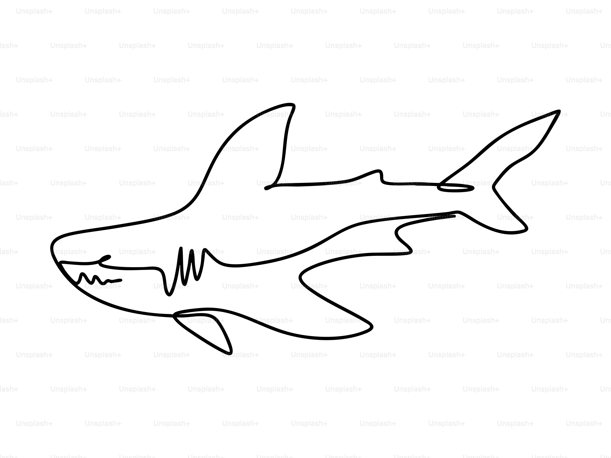 A simple line drawing of a shark