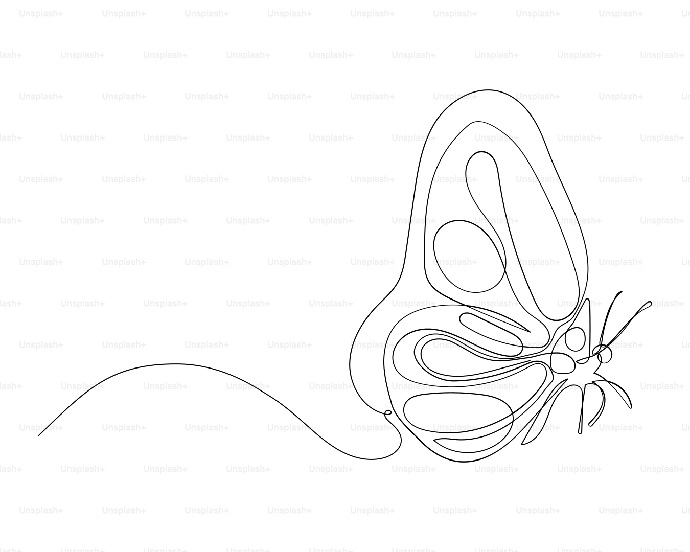 A minimalist line drawing of a butterfly vector – Art Image on Unsplash