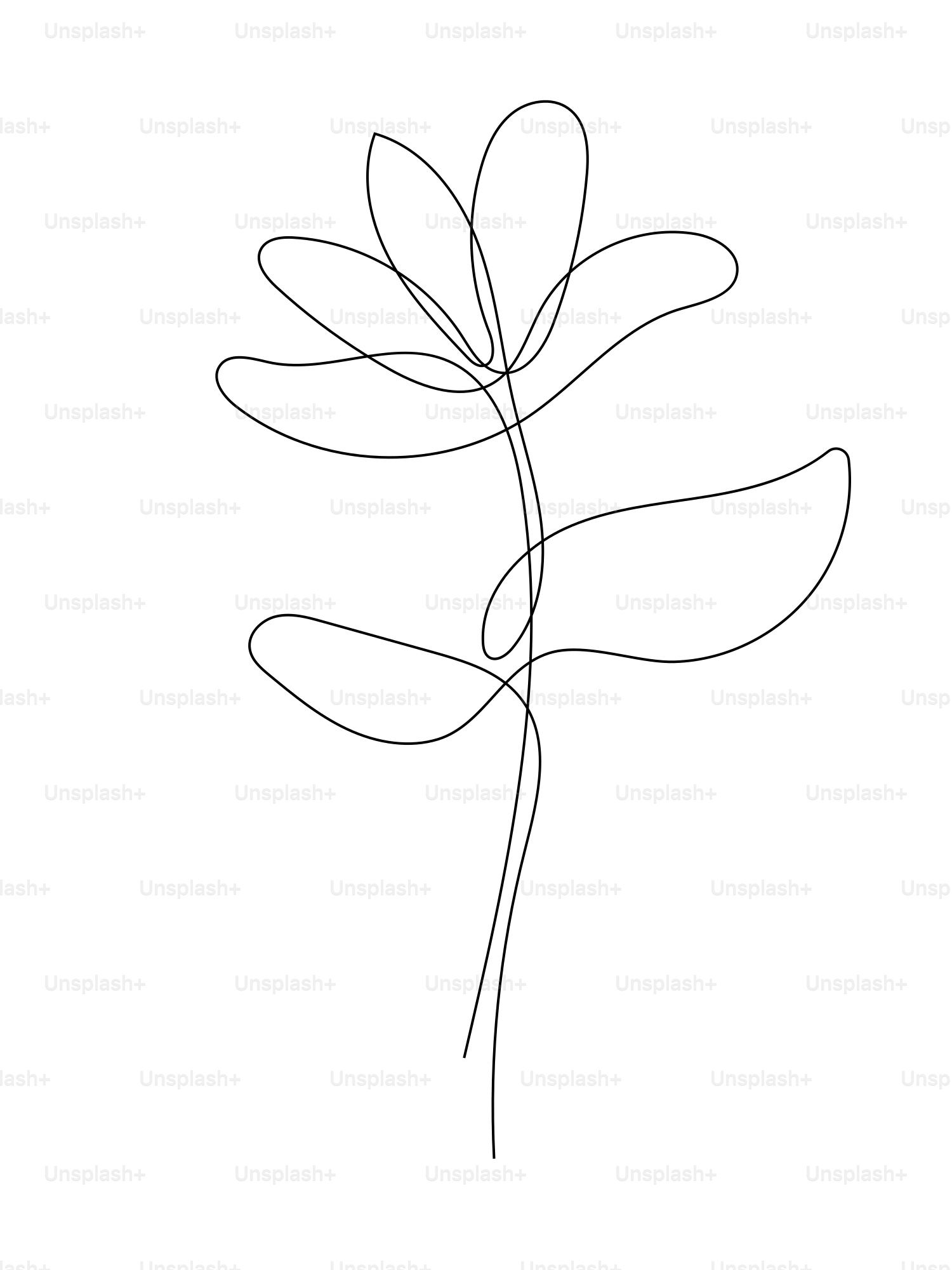 Minimalist line art of a succulent plant.