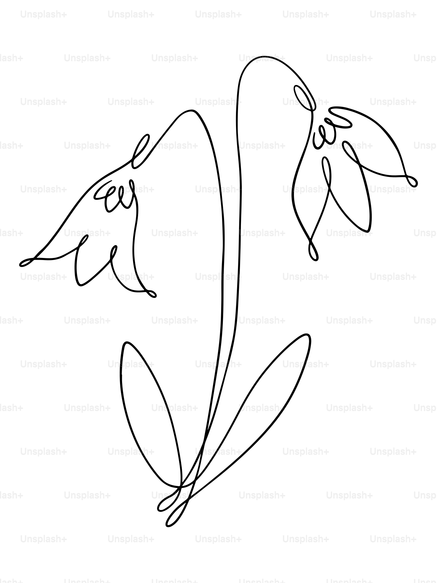 二つの鐘形の花を描いたミニマリストな線画