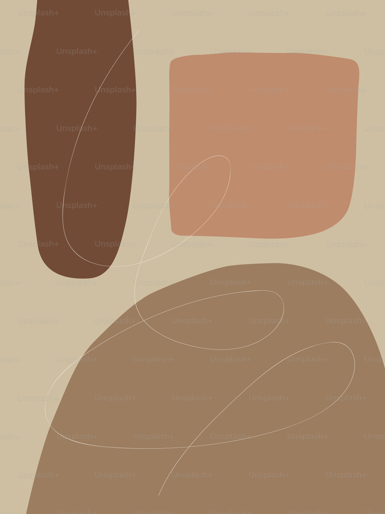 Abstract shapes in earthy tones with thin white lines