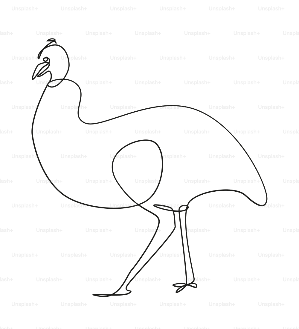 Minimalist line art of a cassowary bird