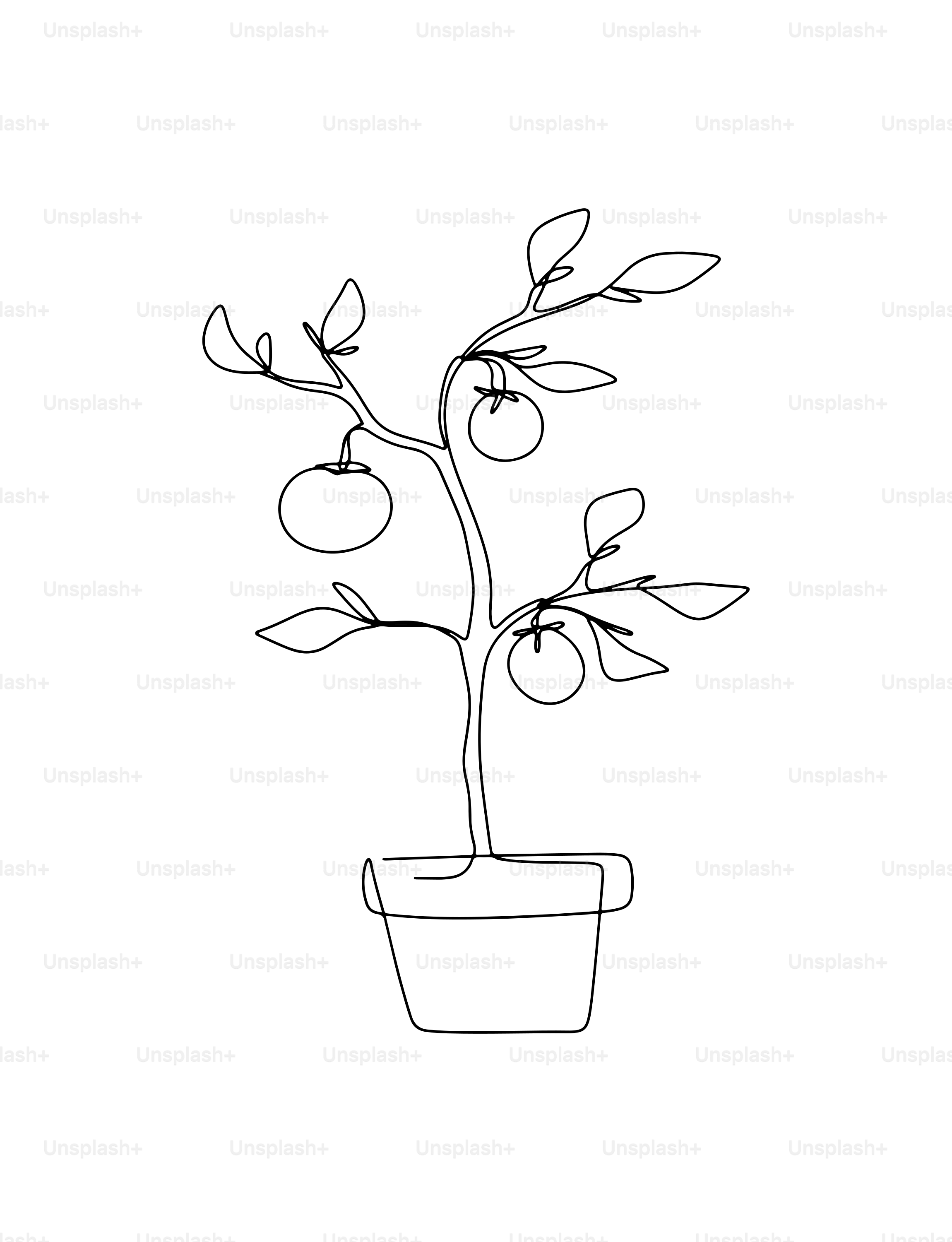 A minimalist line drawing of a potted plant with fruit