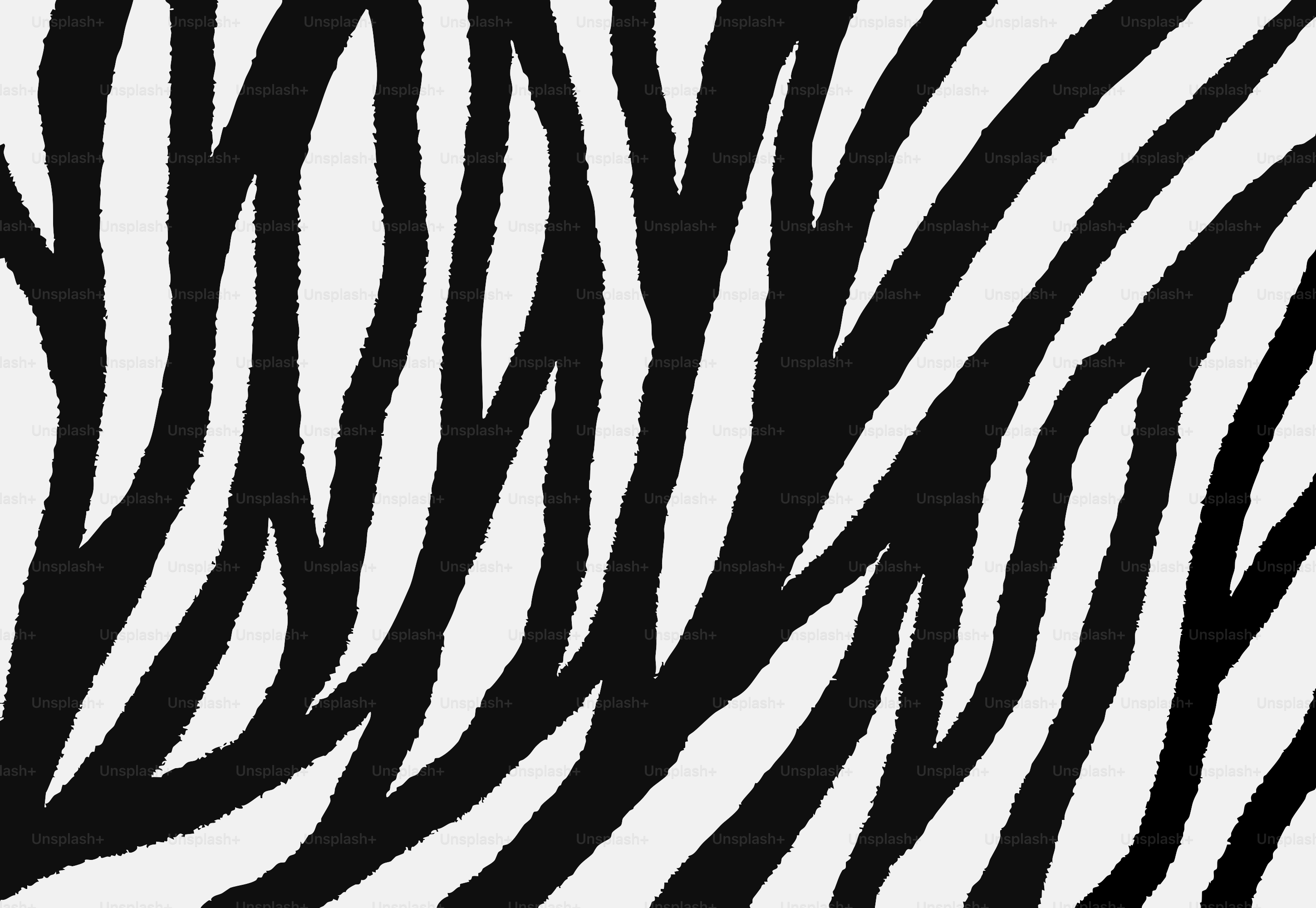 Motif de rayures zébrées noires et blanches