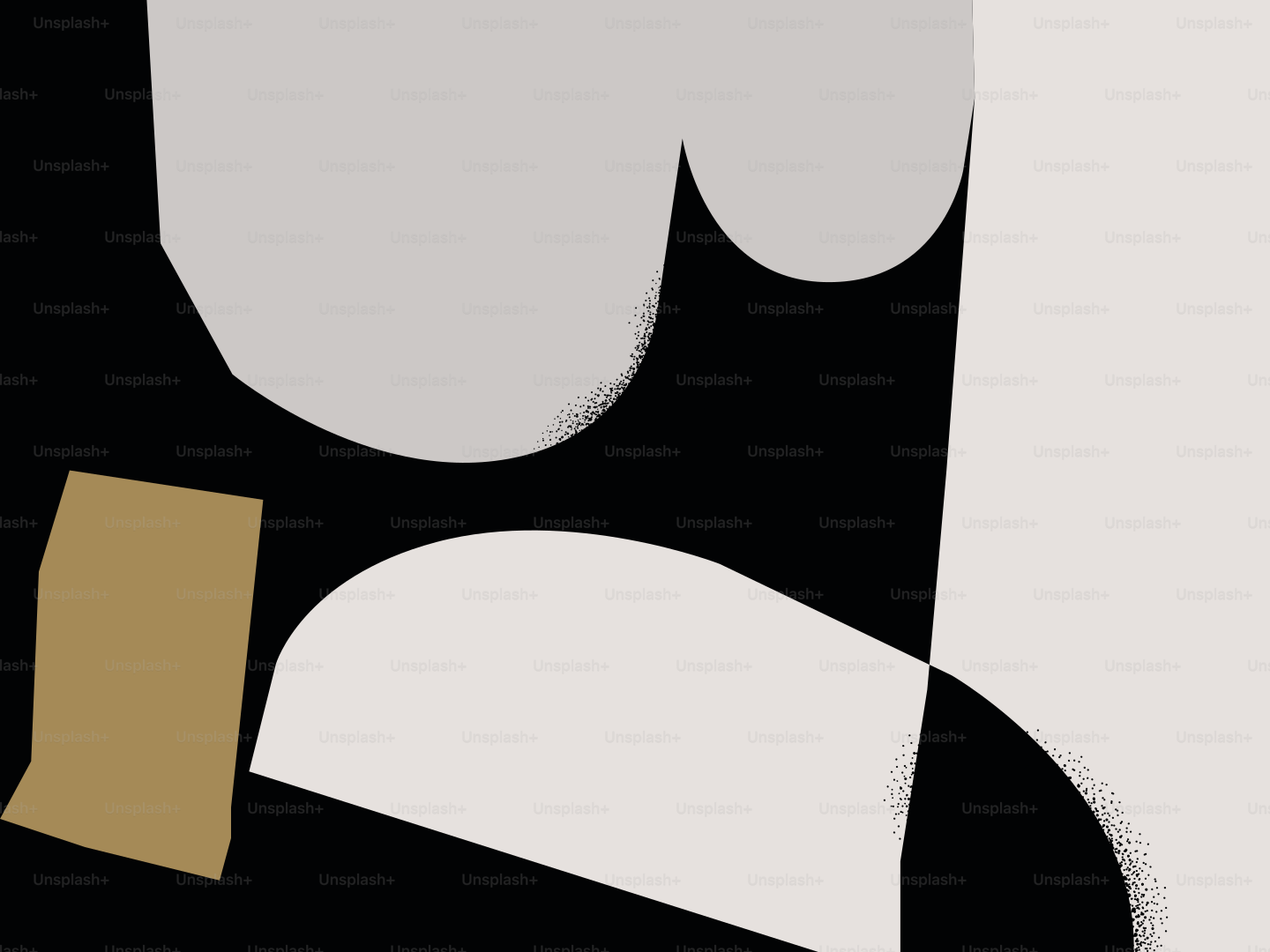 Forme astratte in nero, bianco e oro.