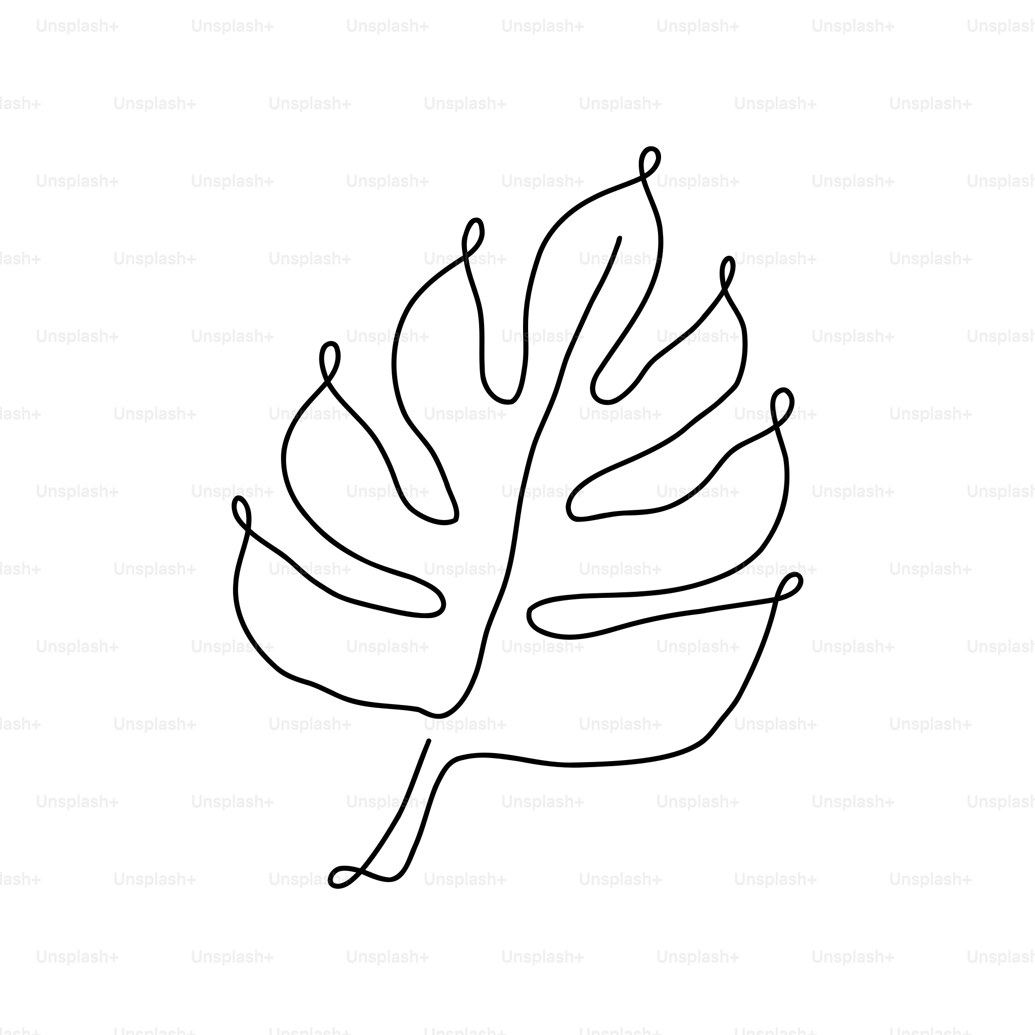 Minimalist line art of a monstera leaf.