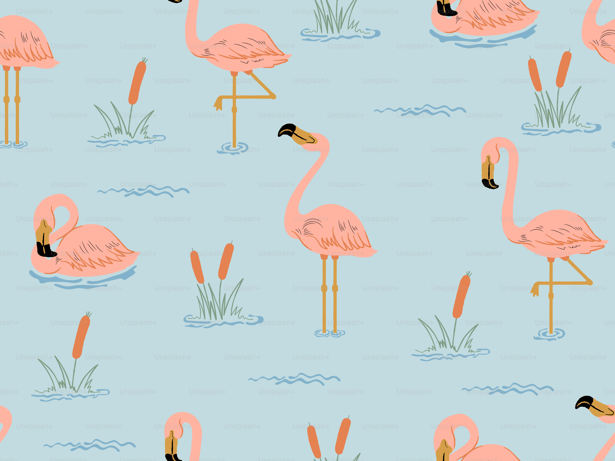 Pink flamingos wading in shallow water with reeds.