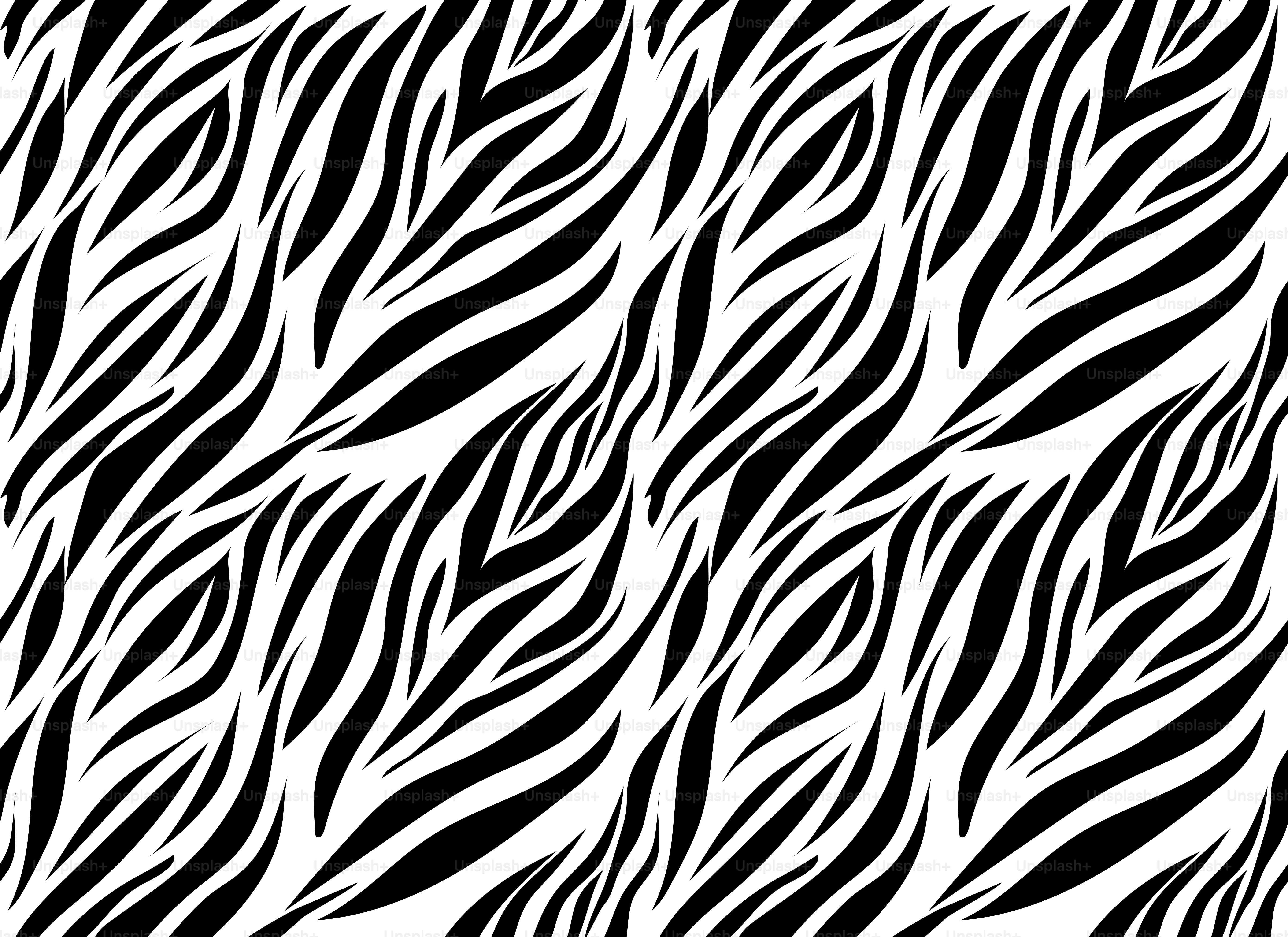 Black and white zebra stripe pattern vector – Wallpaper Image on Unsplash