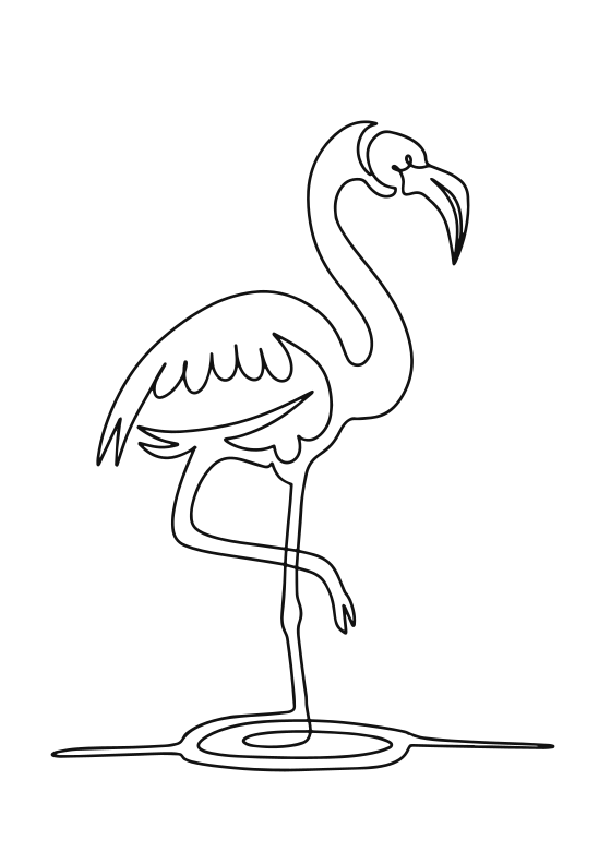 Flamant rose debout sur une jambe dans l’eau