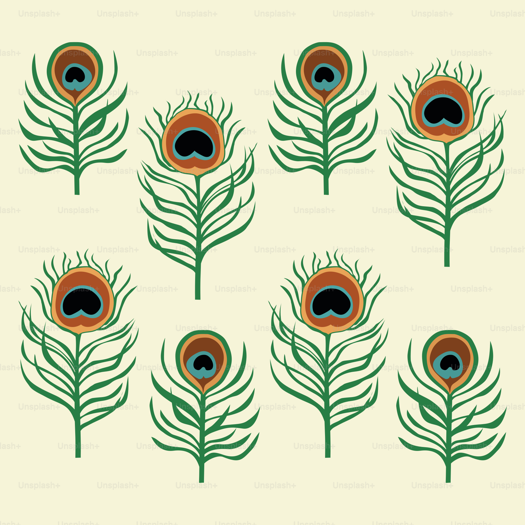 Eight peacock feathers arranged on a cream background