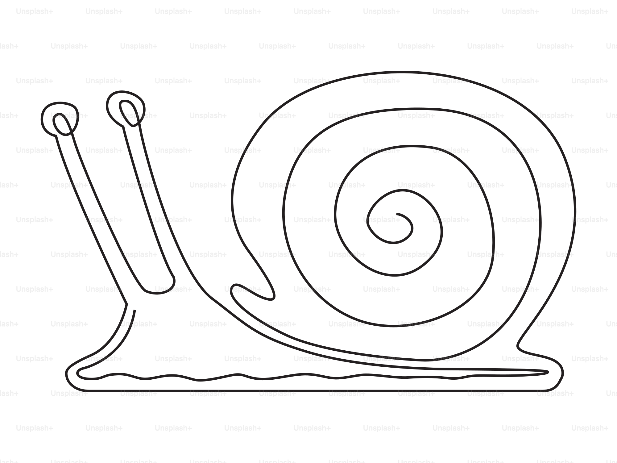 A simple line drawing of a snail.