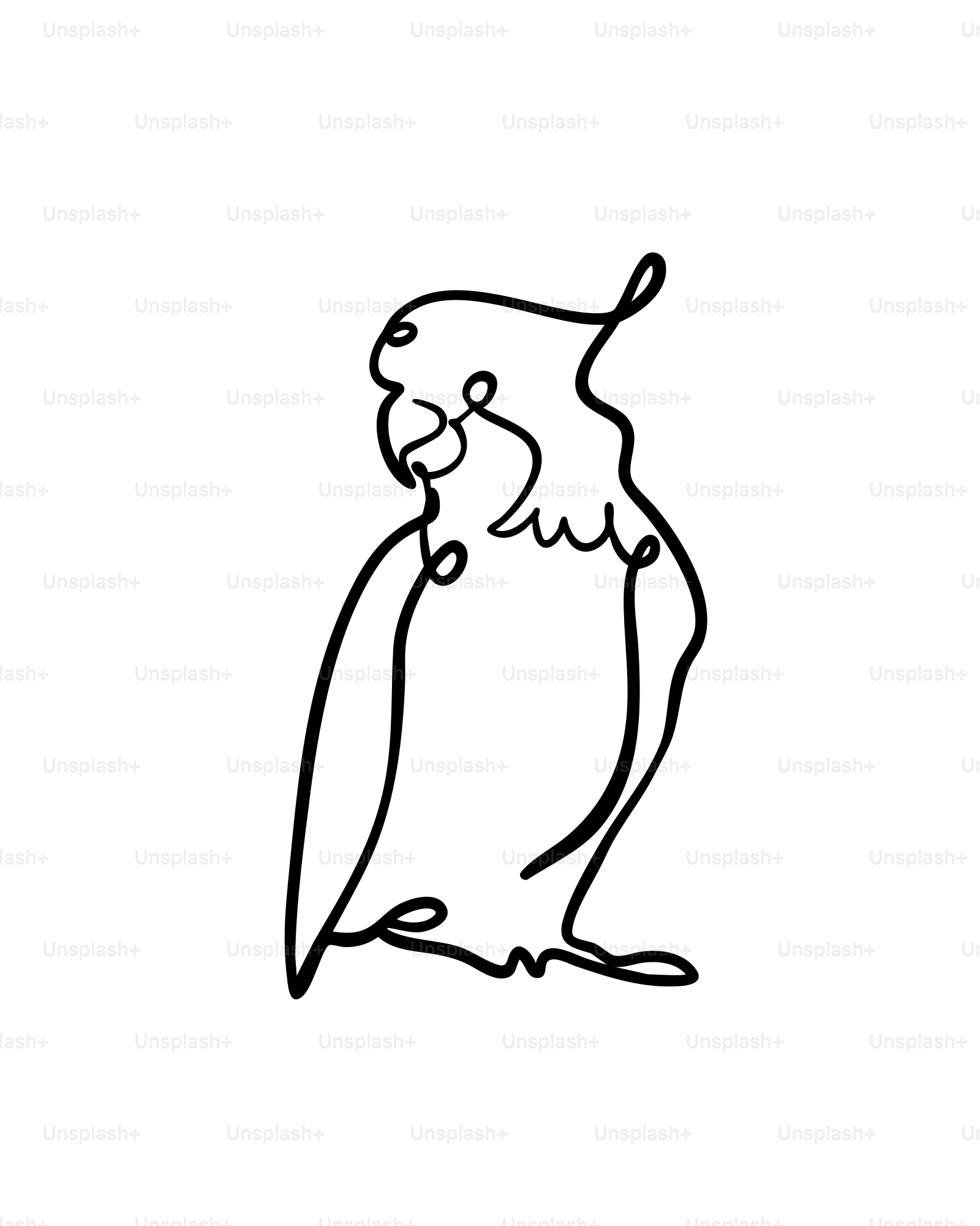 Arte lineal minimalista de un loro sobre fondo blanco