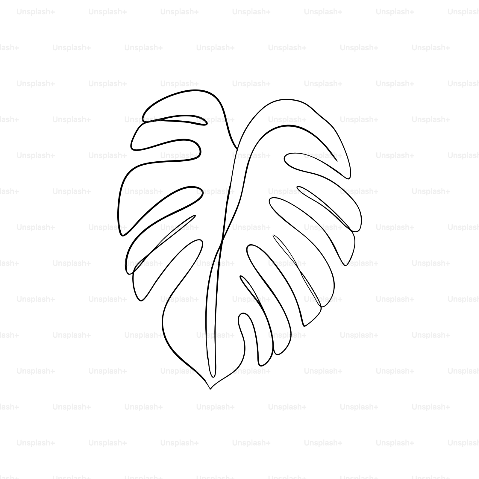 Un disegno a linea singola di una foglia di monstera.