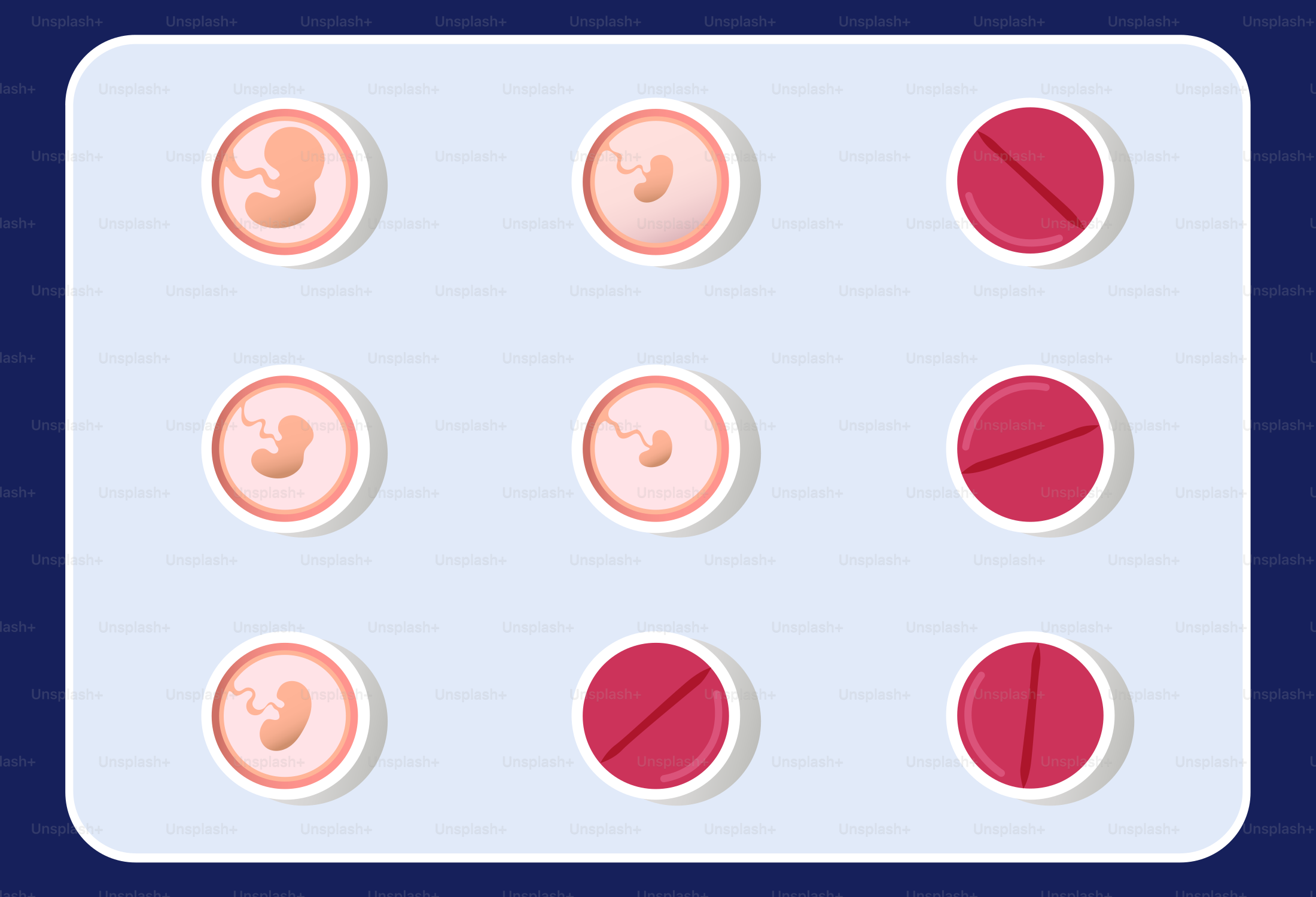 Fetal development stages and pills in packaging.
