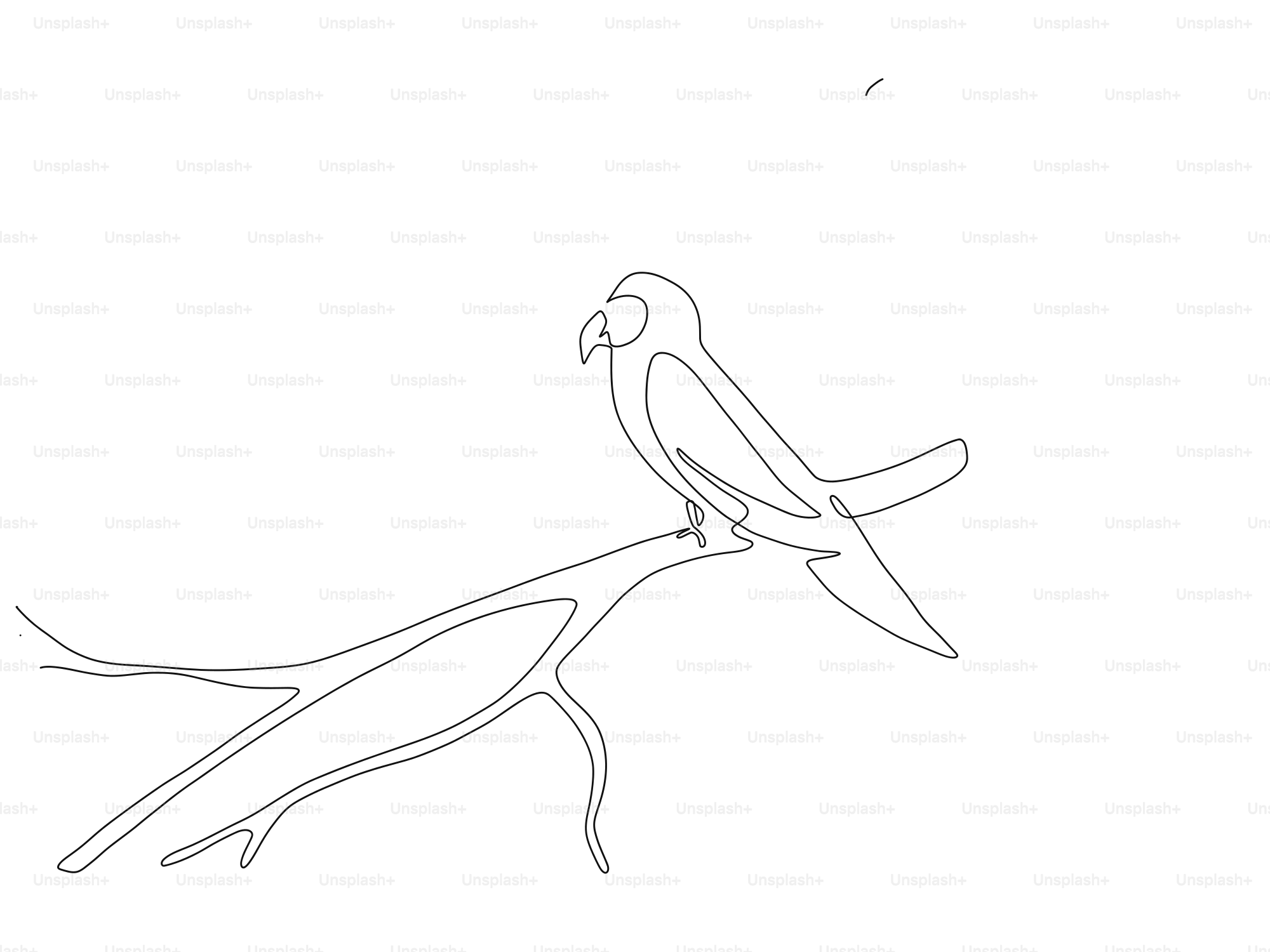 A single line drawing of a parrot on a branch