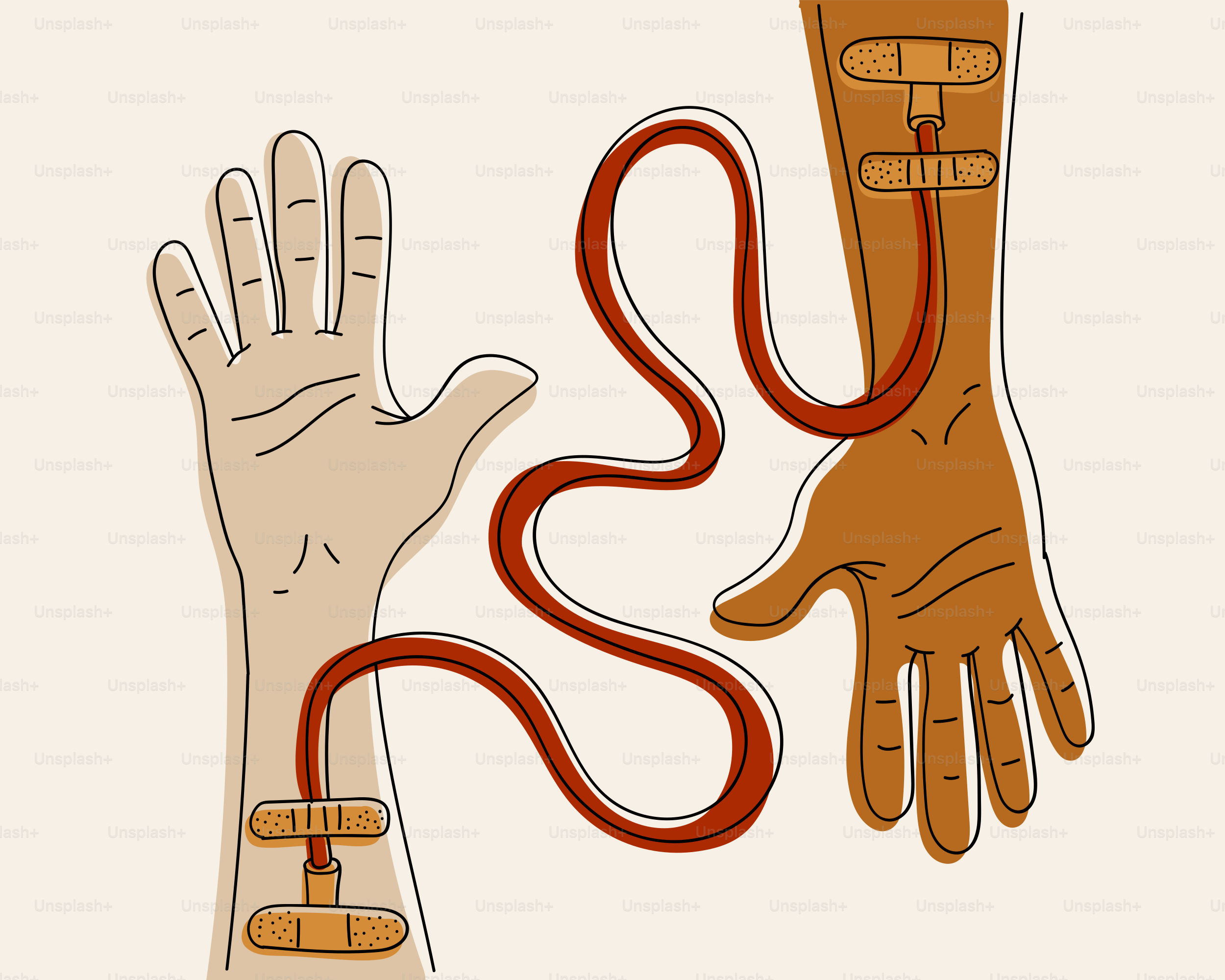 Two arms connected by a blood transfusion tube